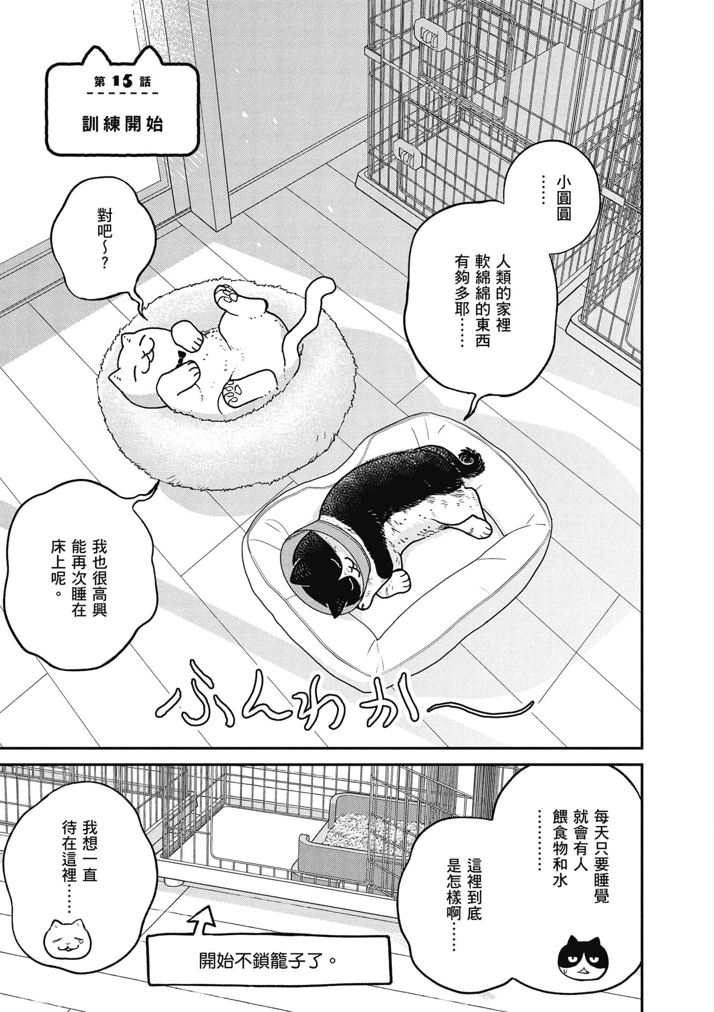 Page 84