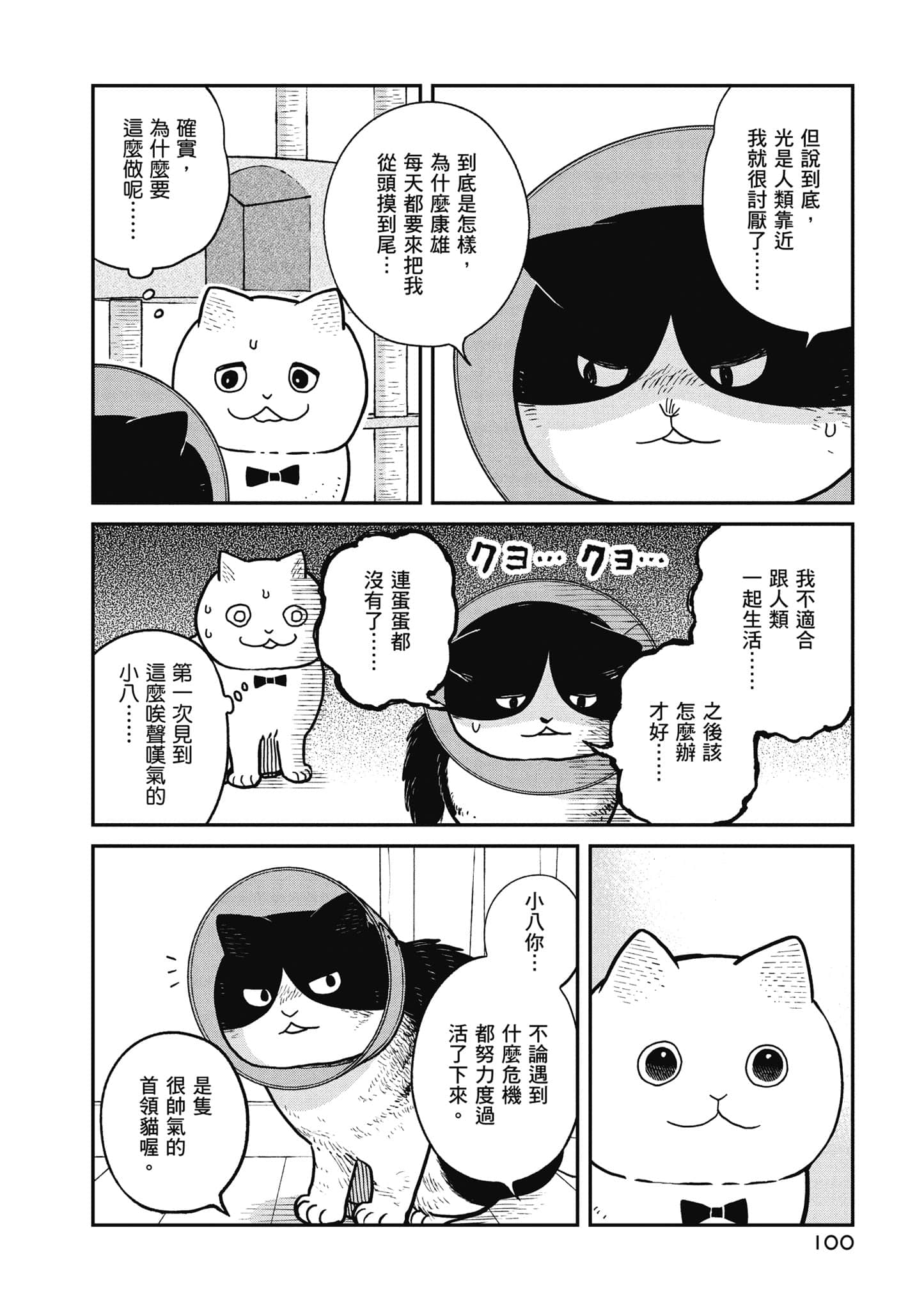 Page 101