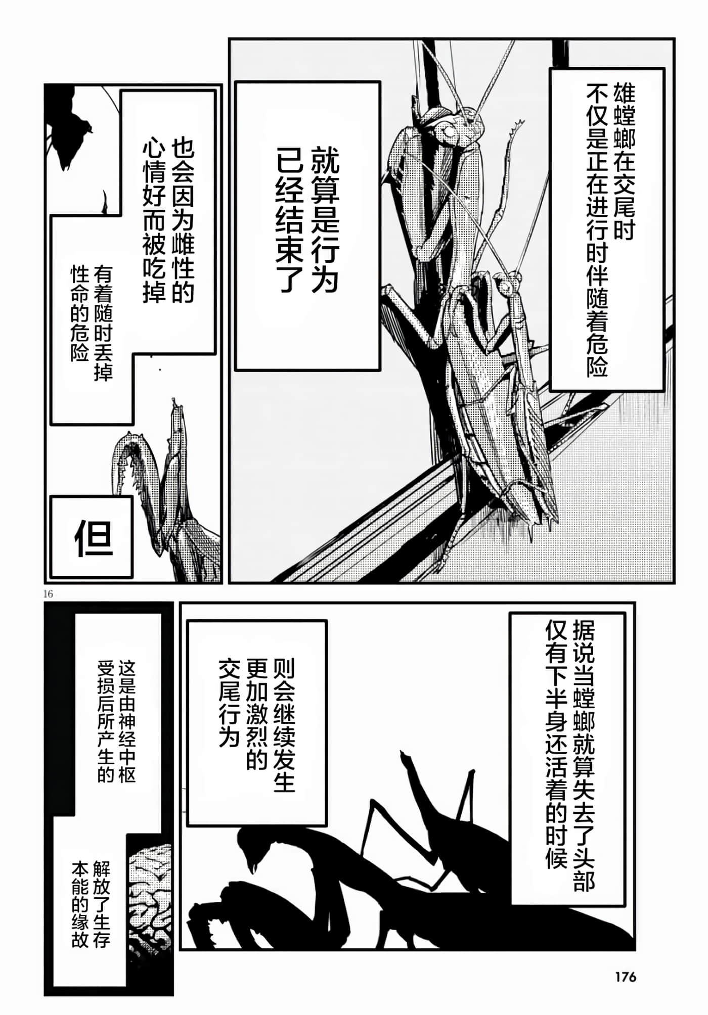 第 16 页