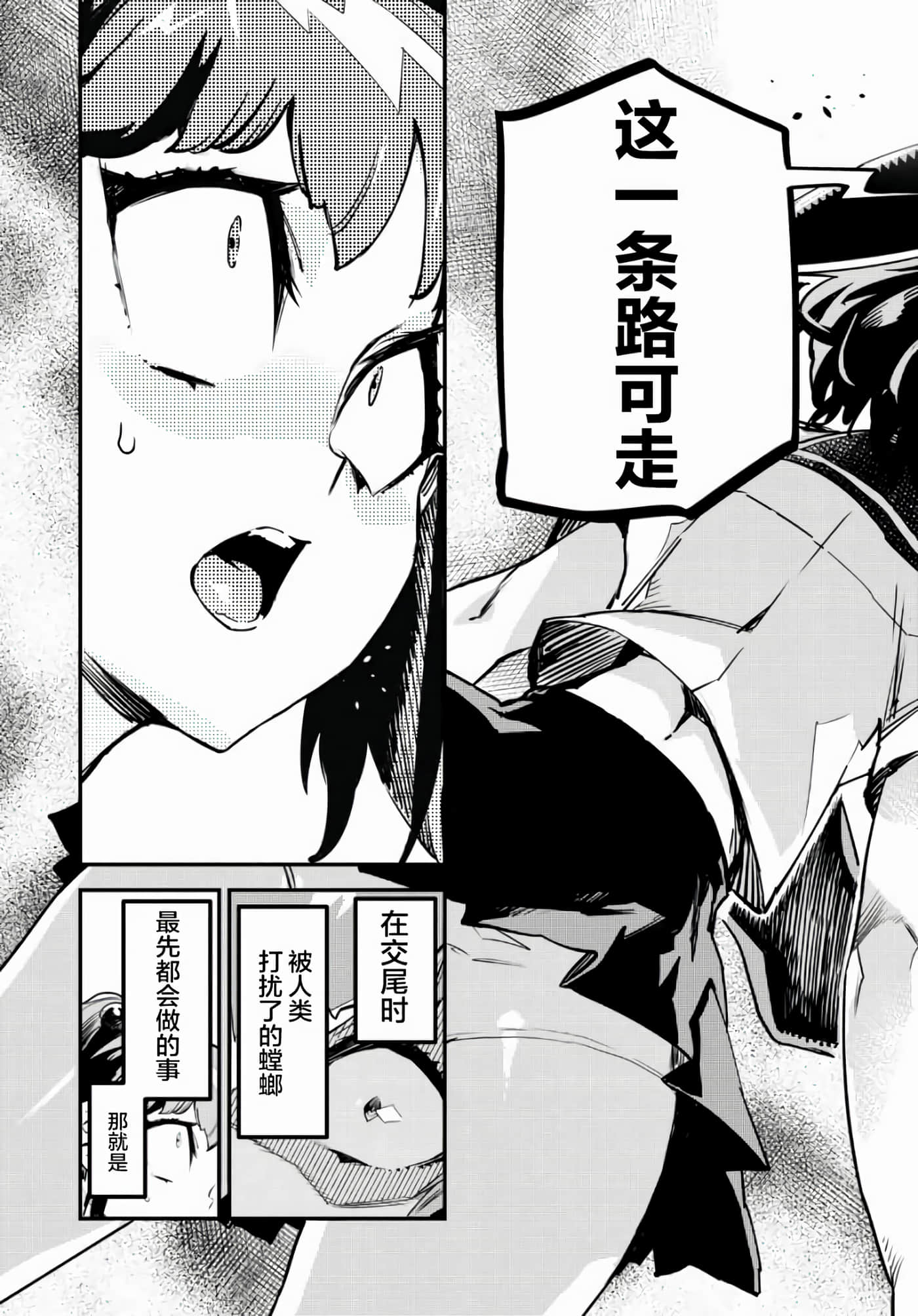 第 41 页