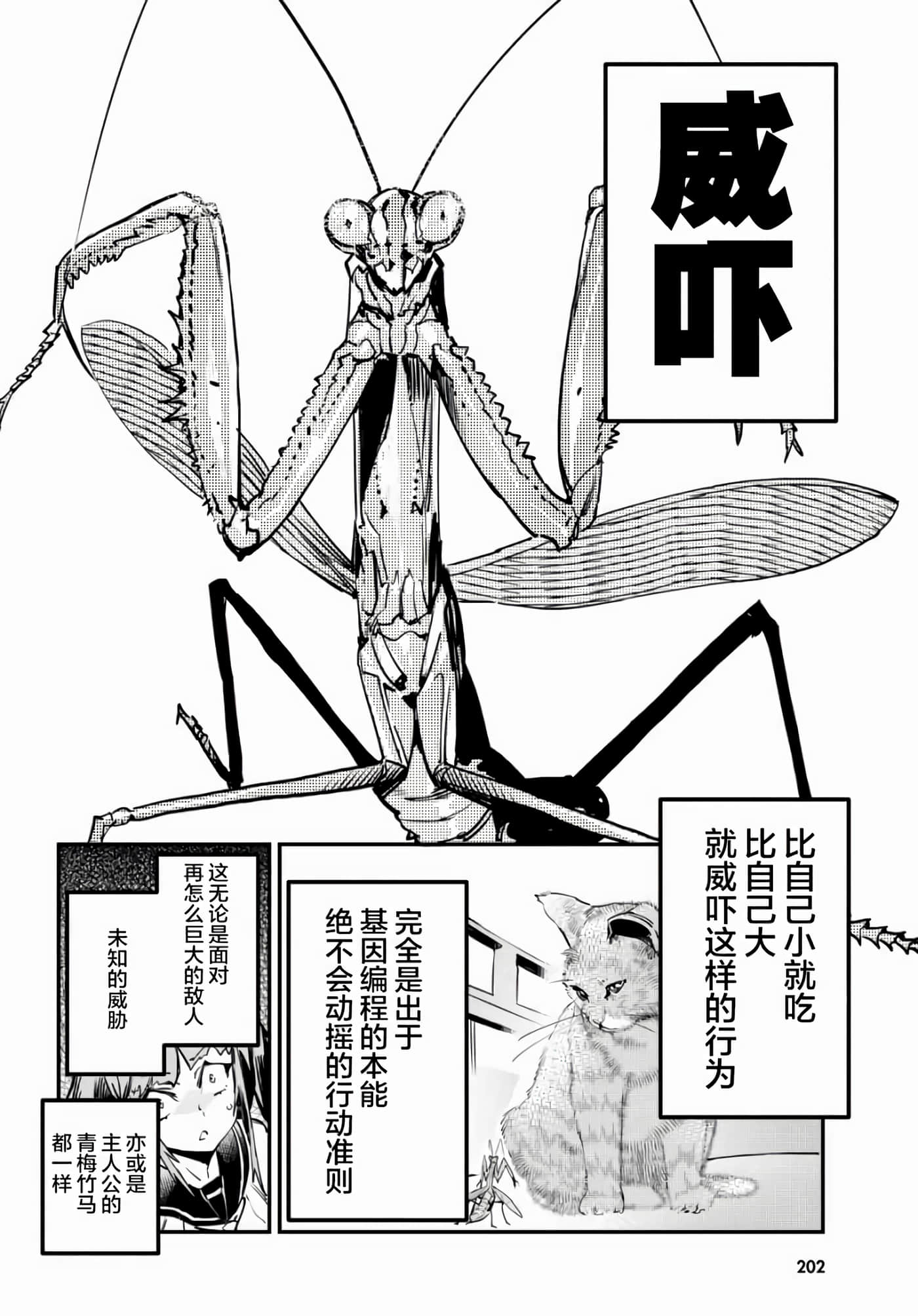 第 42 页