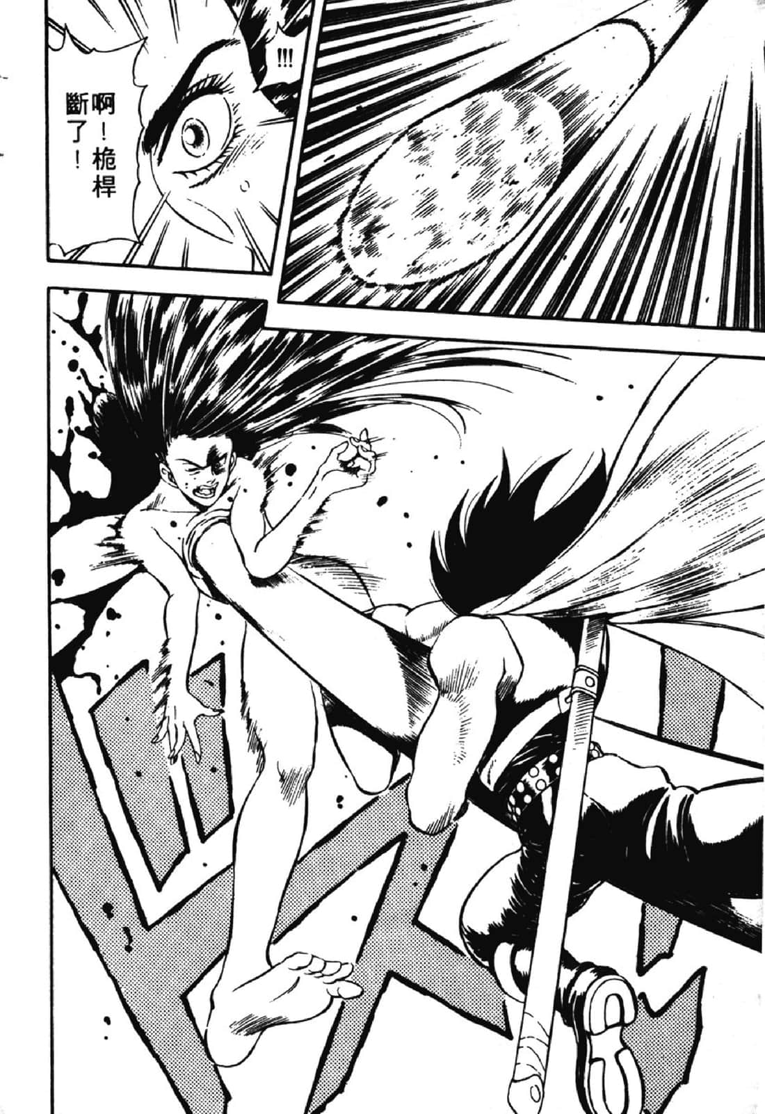 Page 233