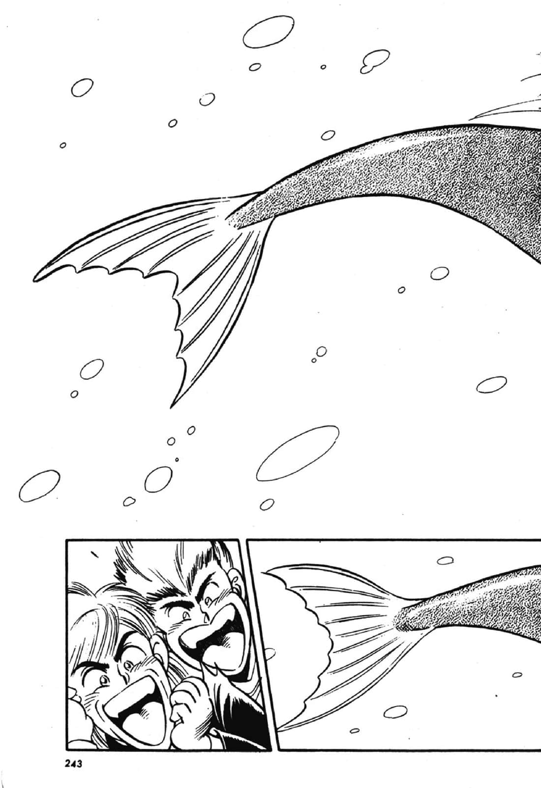 Page 244
