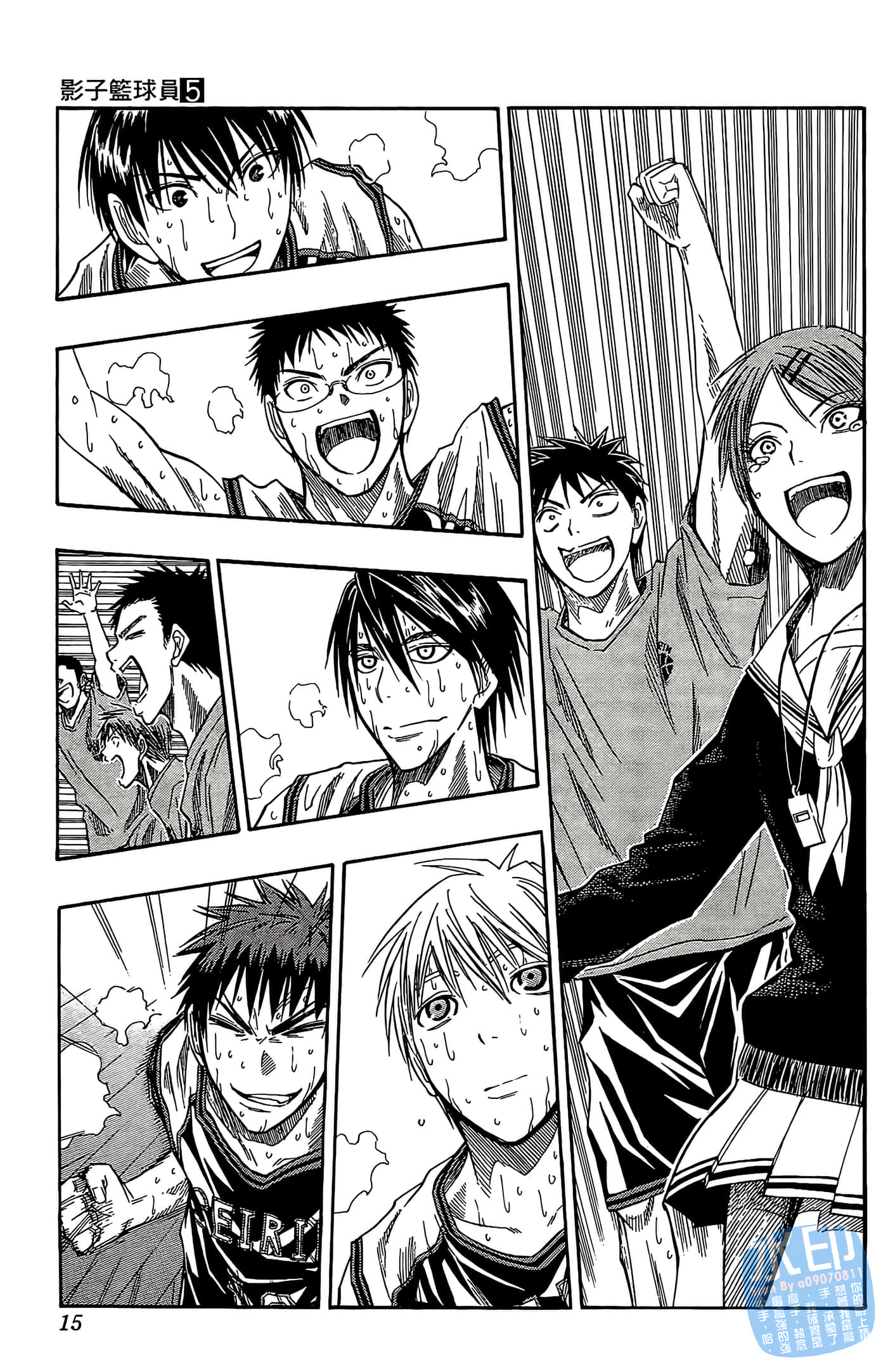 Page 15