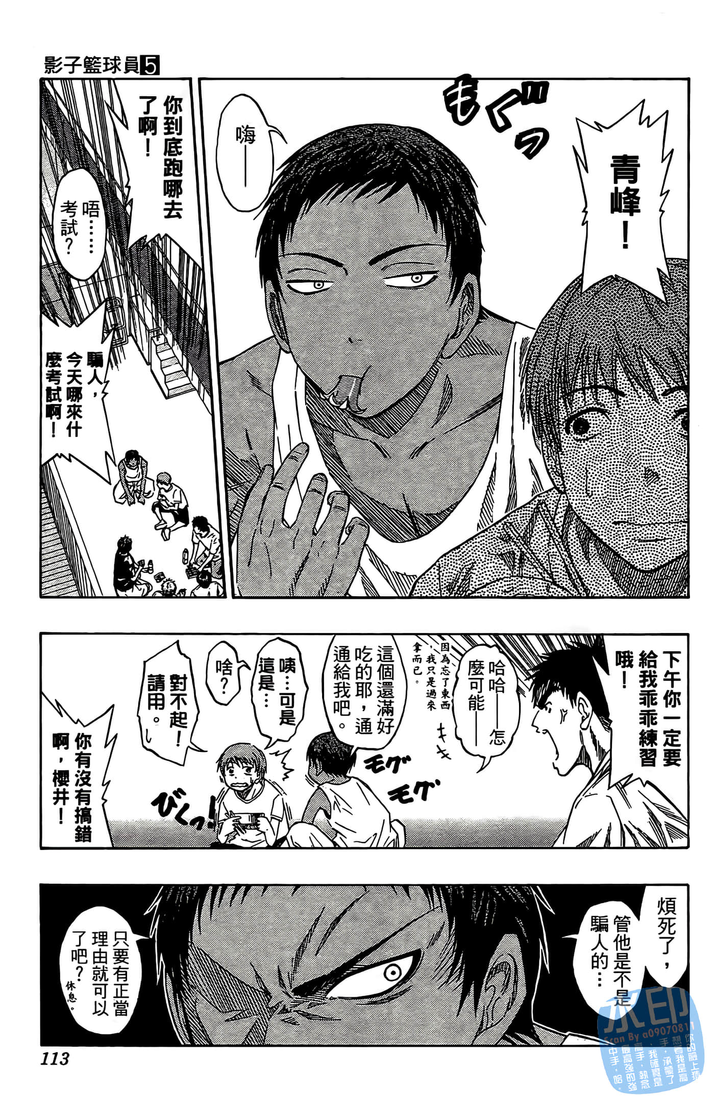 Page 113