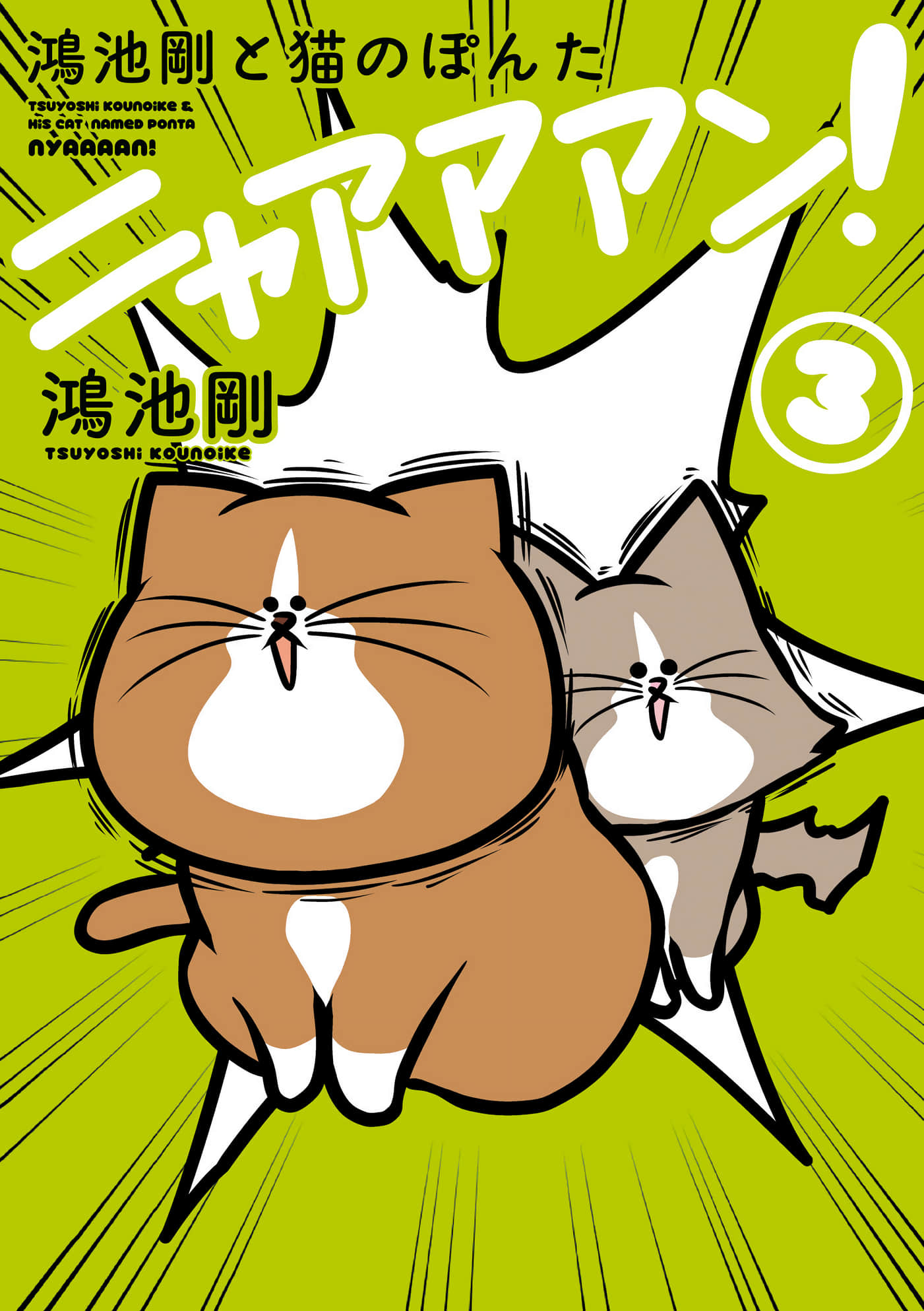 鸿池刚与猫咪邦太 呜喵【1-15话 6-15是生肉】【鴻池剛と猫のぽんた ニャアアアン】【已完结】