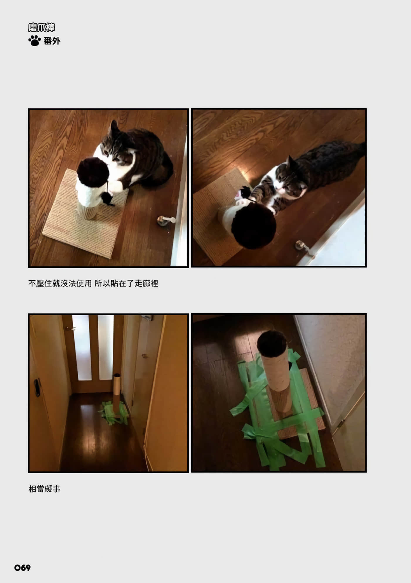 Page 31