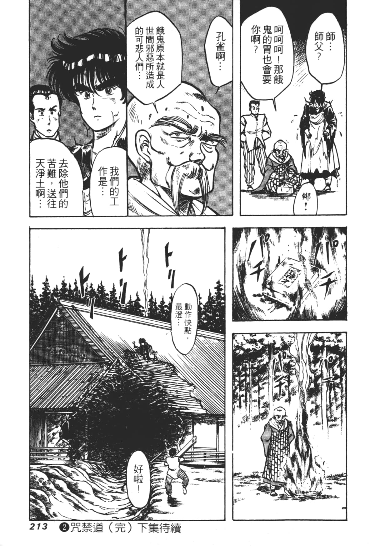 Page 213