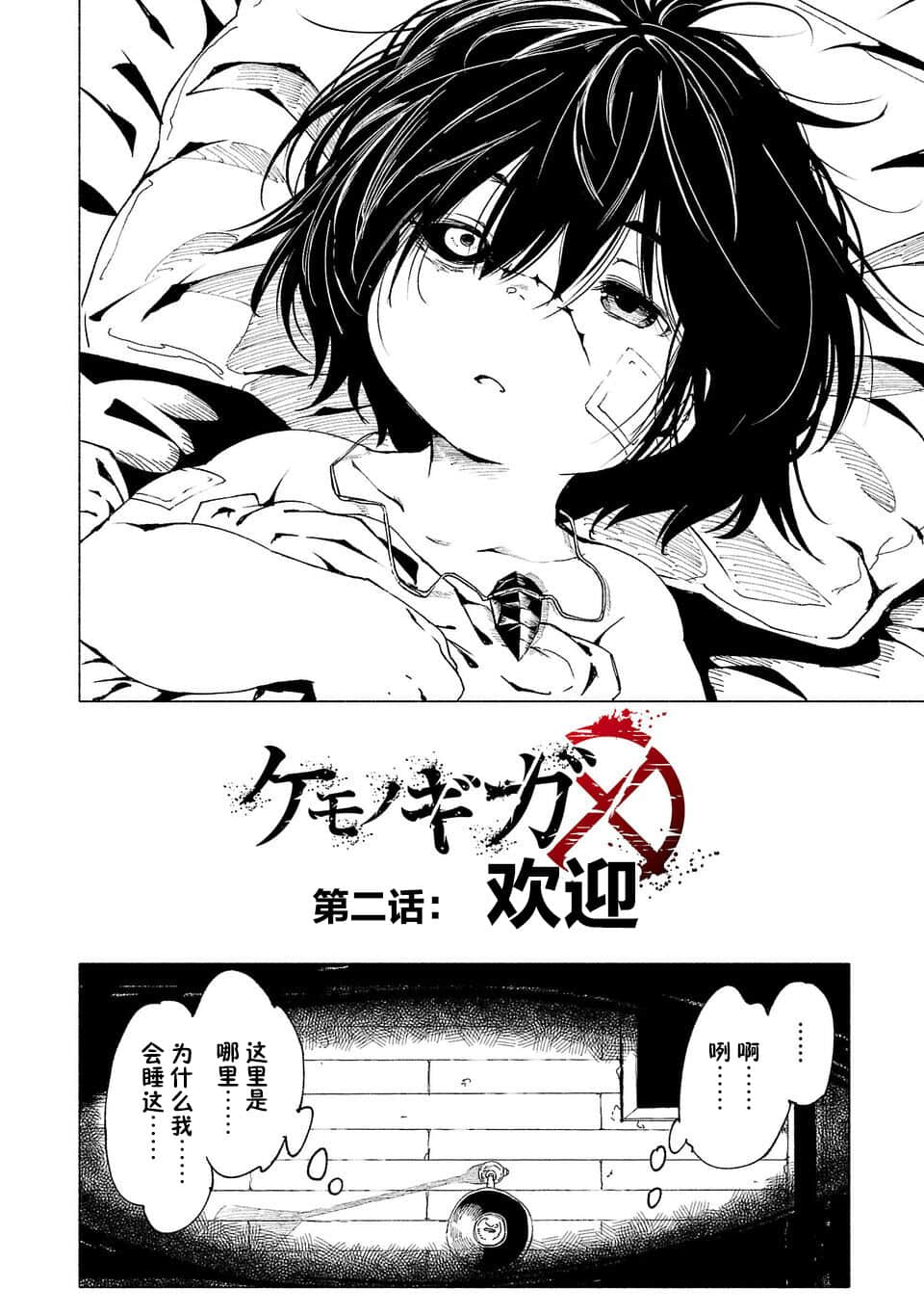 第 2 页