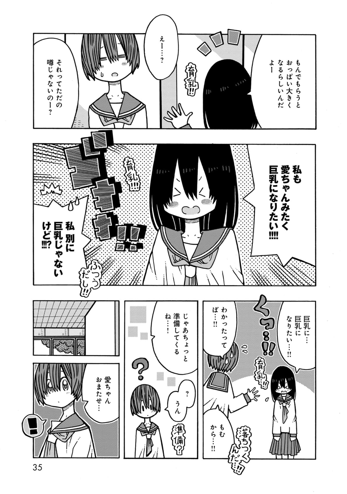 Page 35