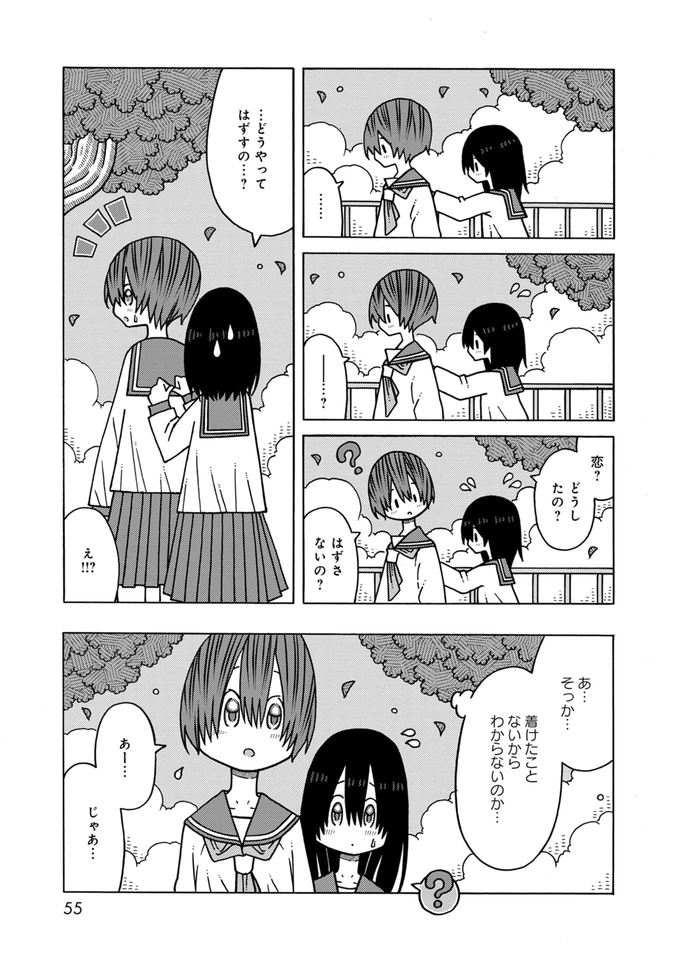 Page 55
