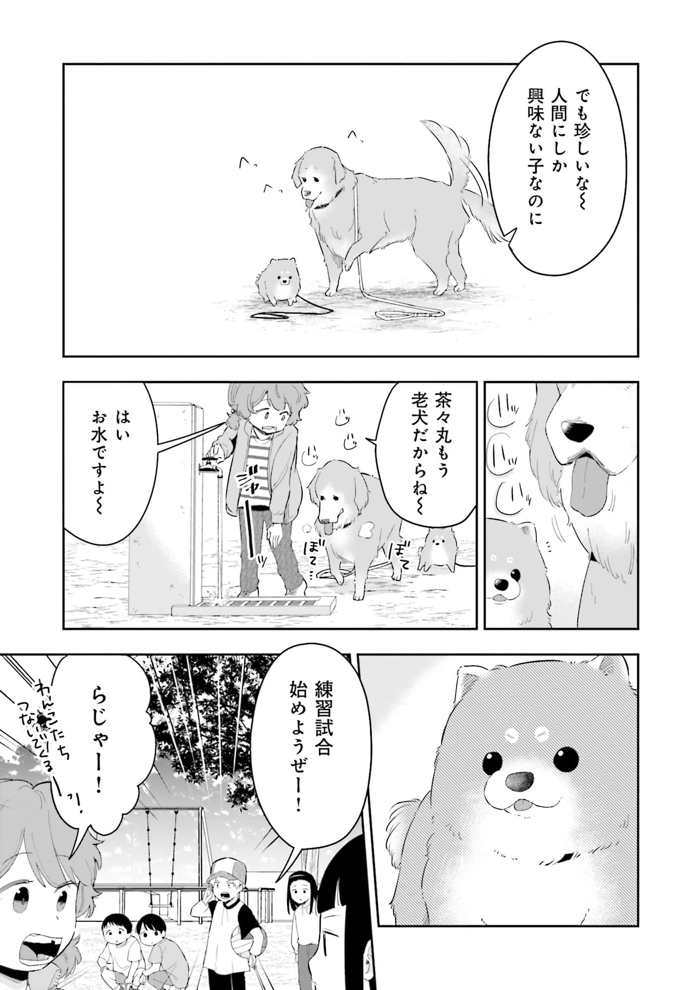 第 102 页