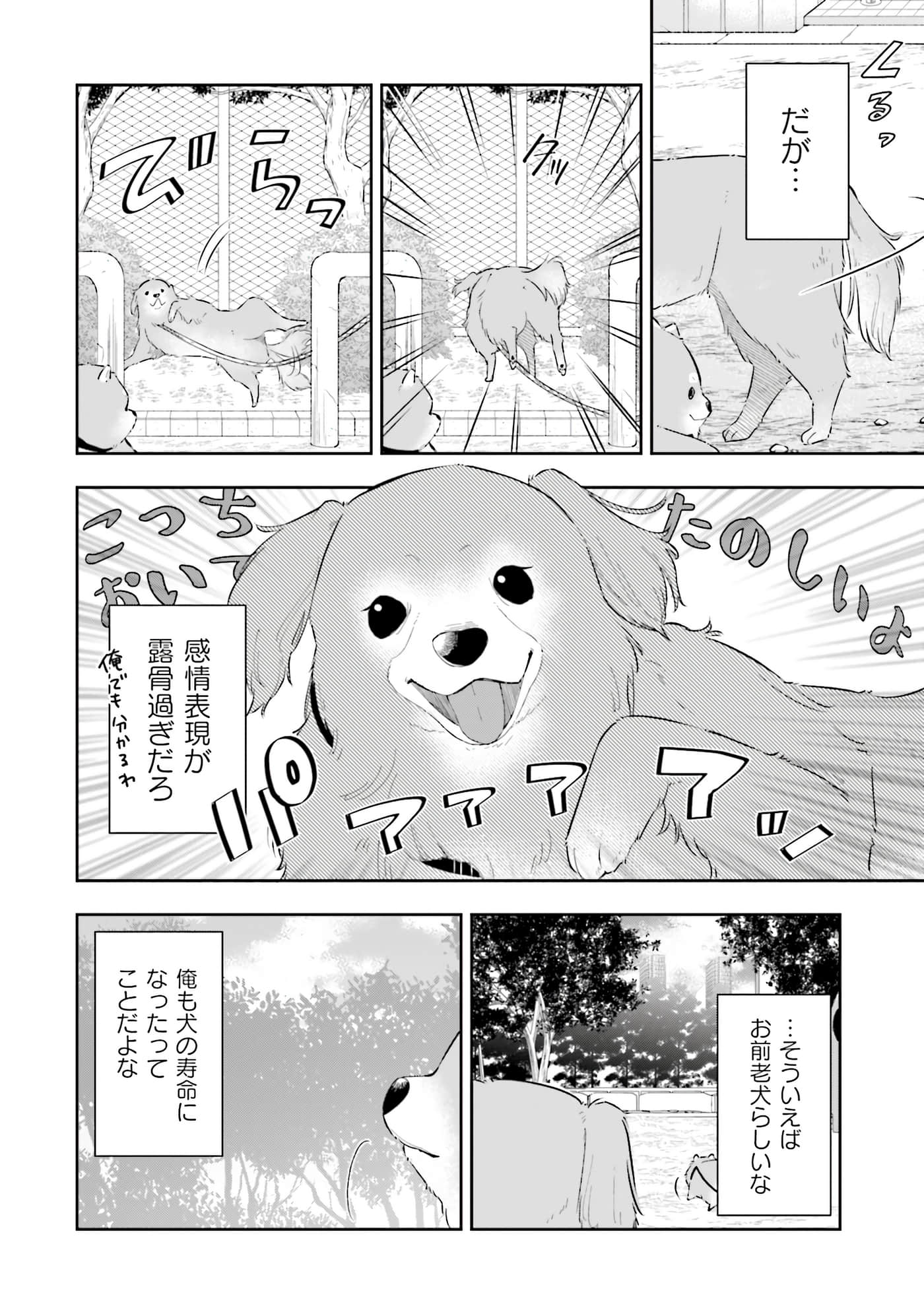 第 105 页