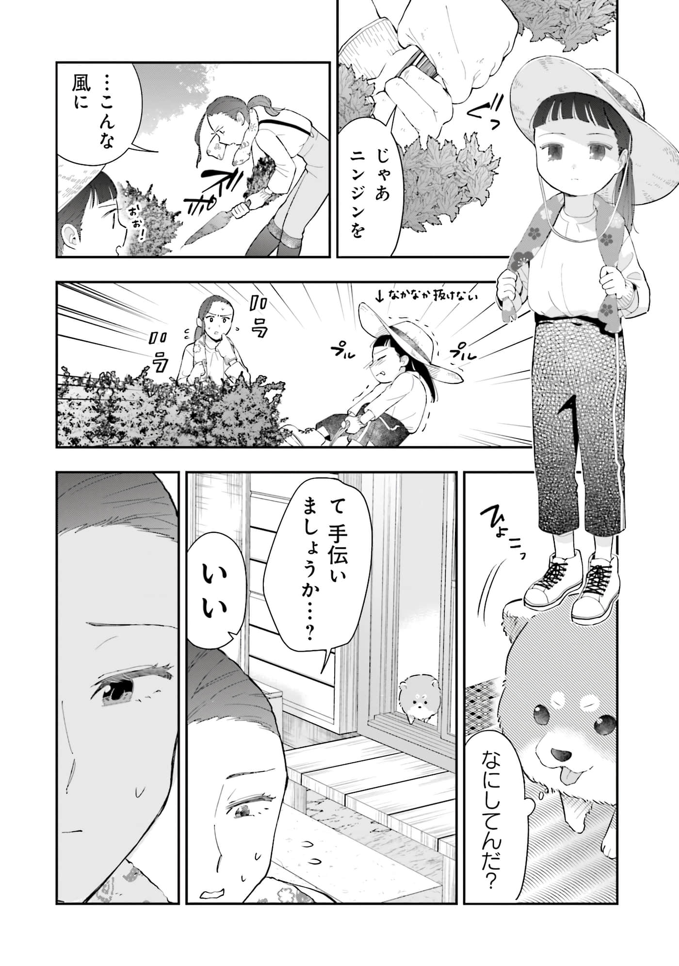 第 55 页