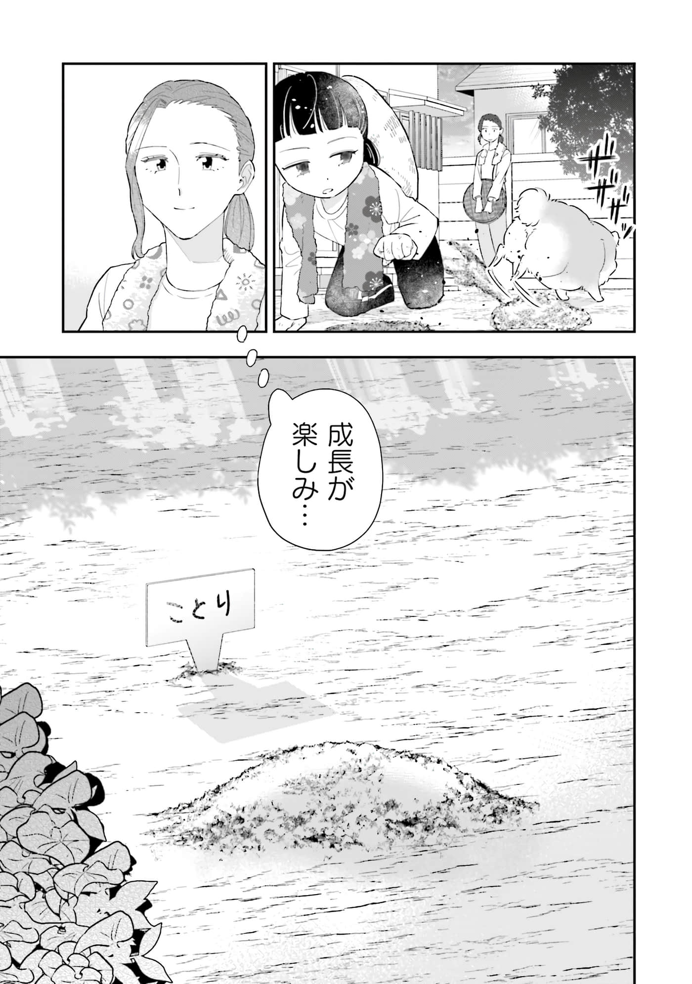 第 66 页