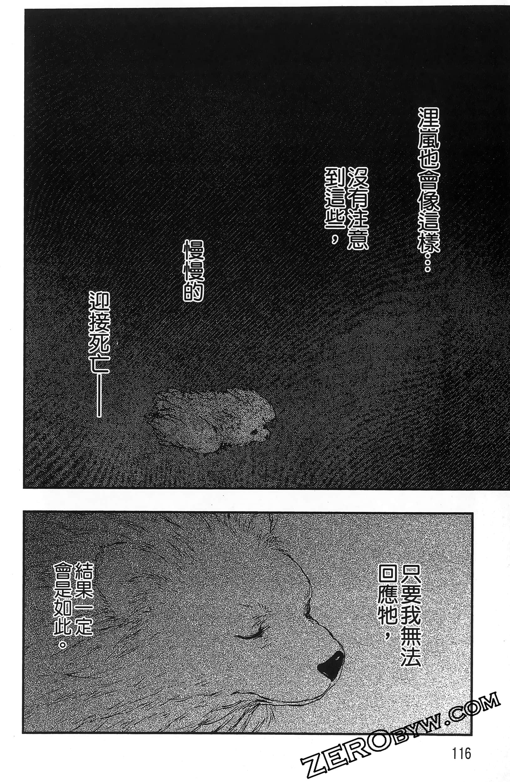 Page 119