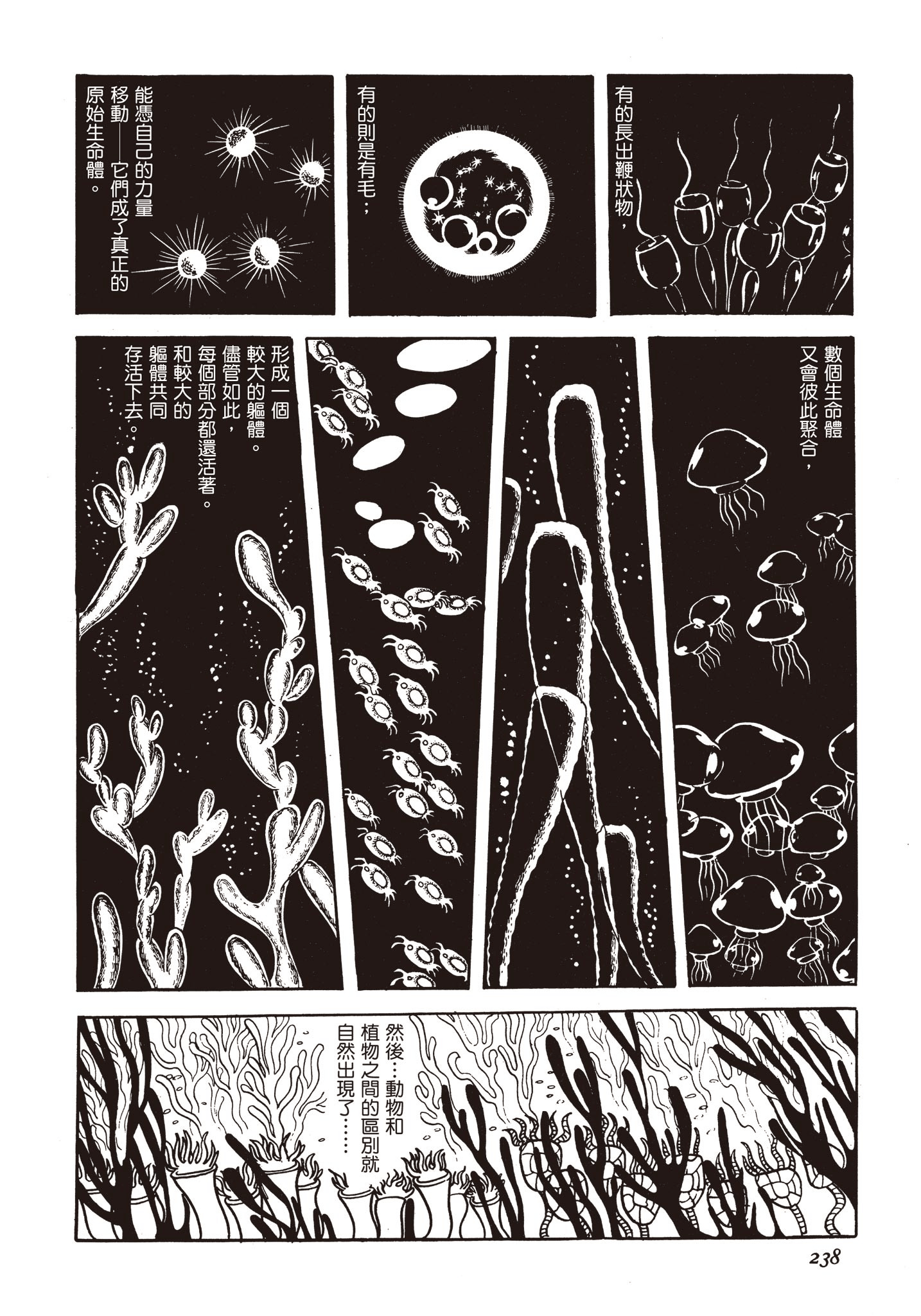 Page 237