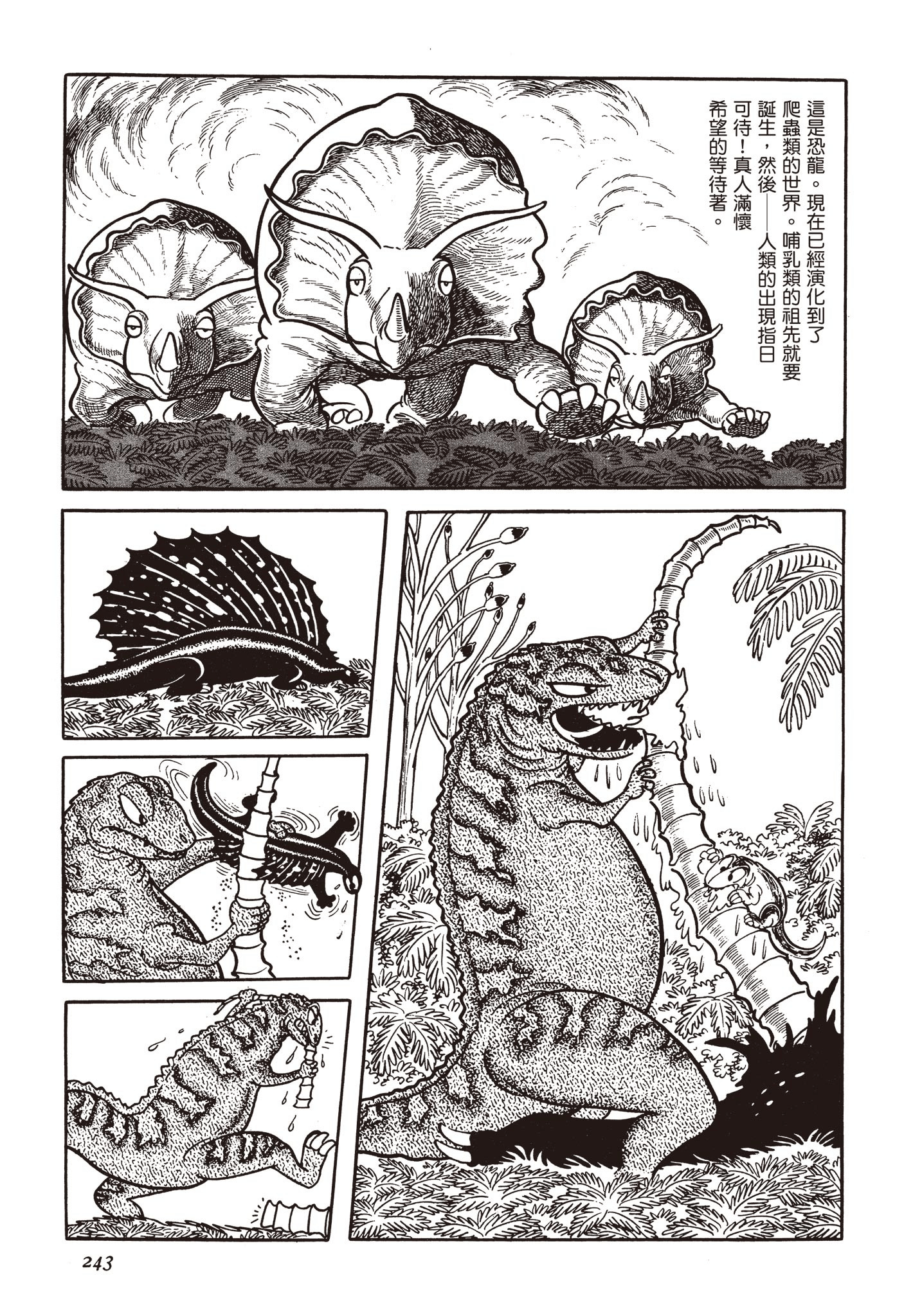 Page 242