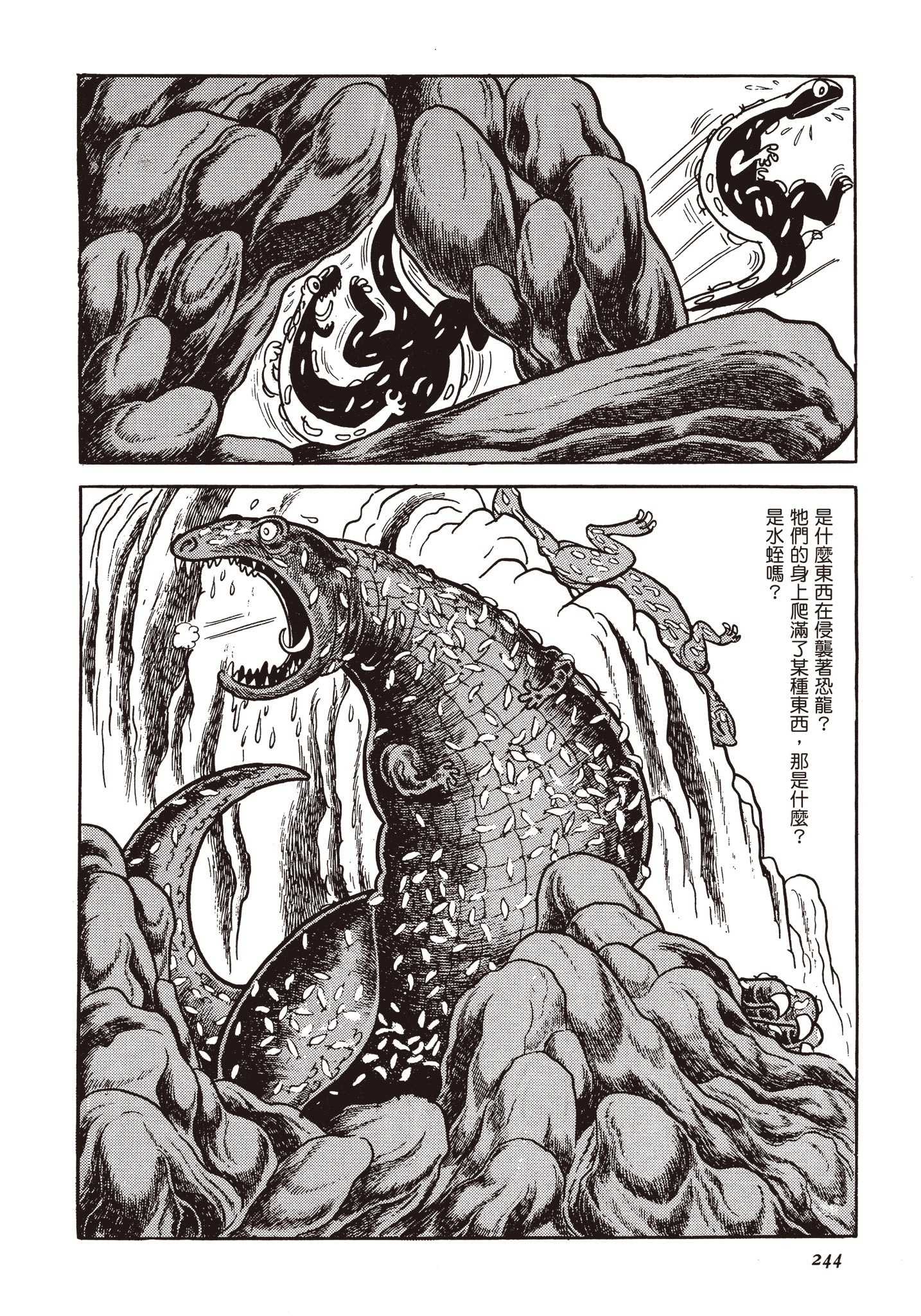 Page 243