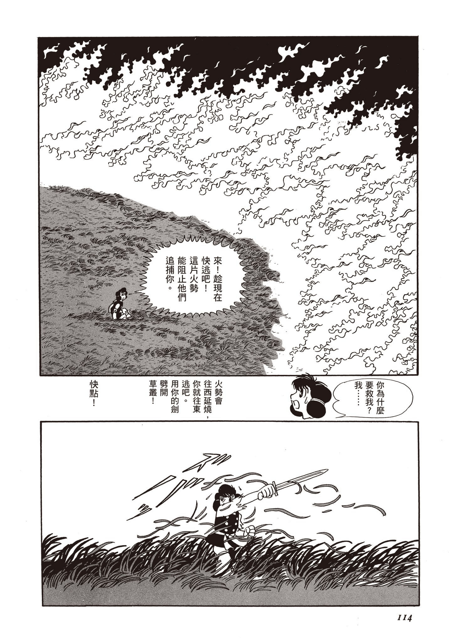 Page 113