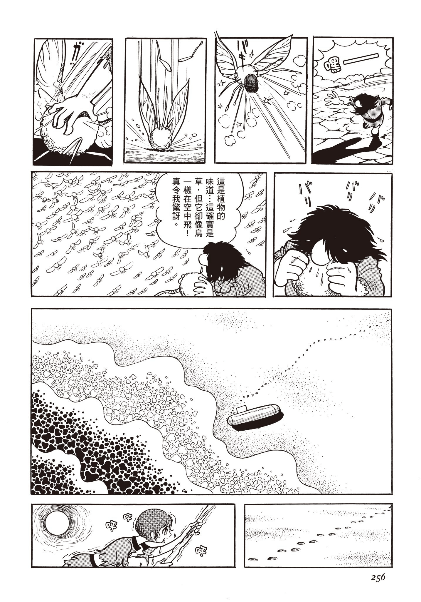 Page 255