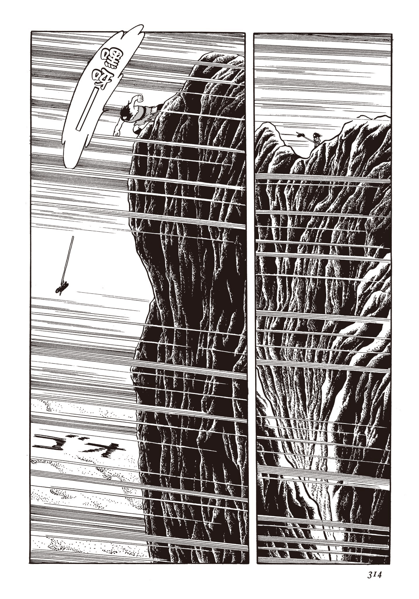 Page 313