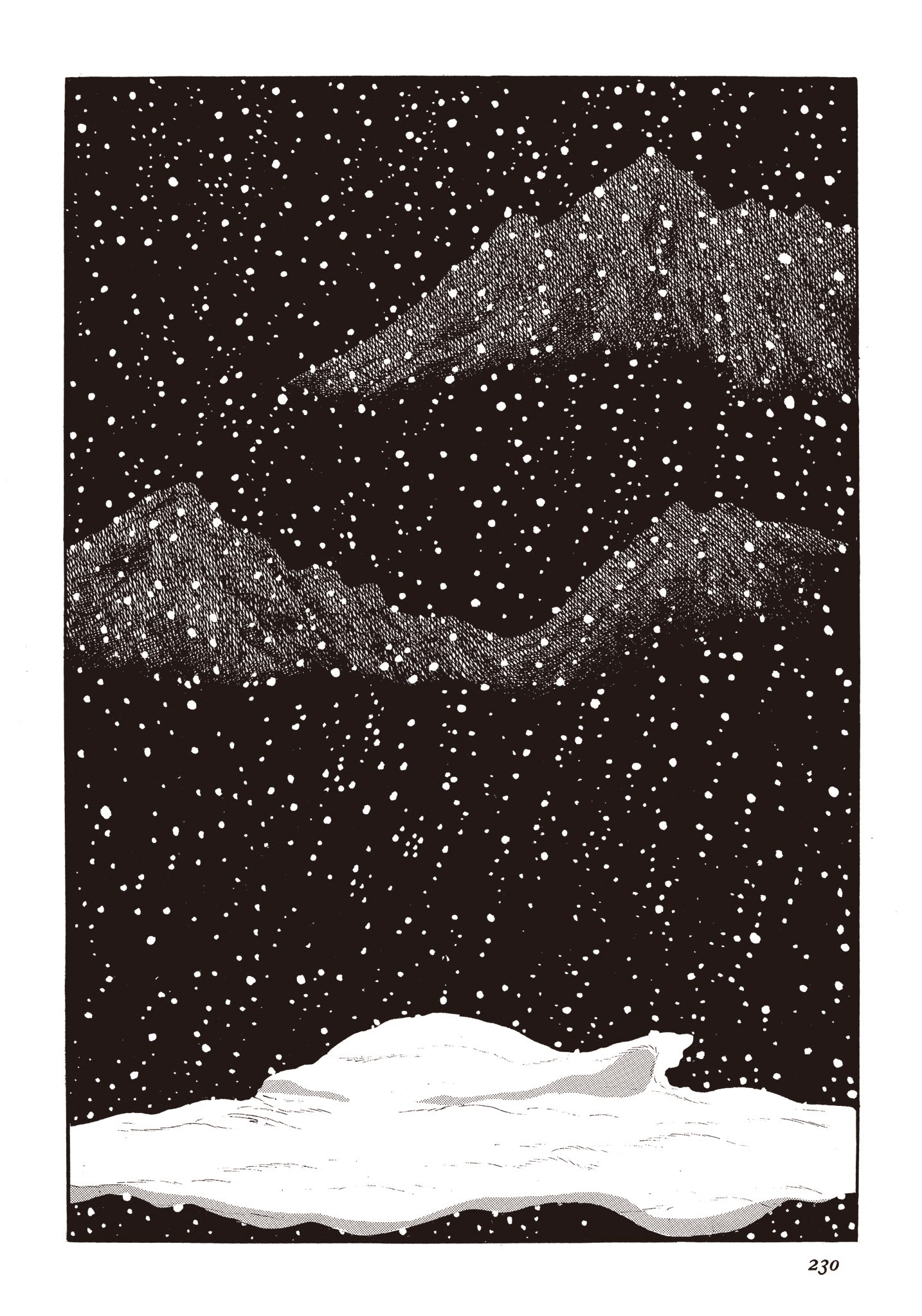 Page 229