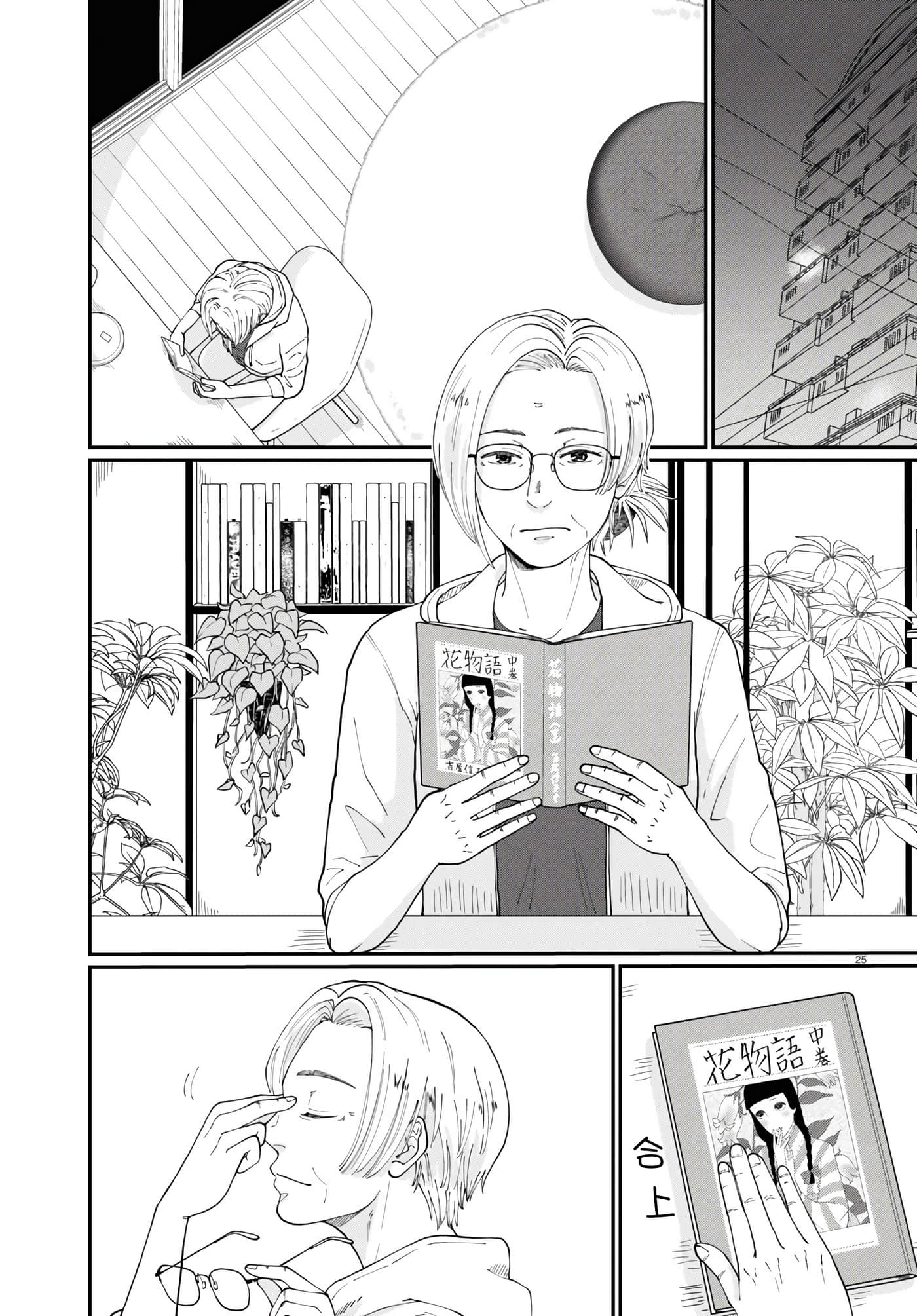 Page 25
