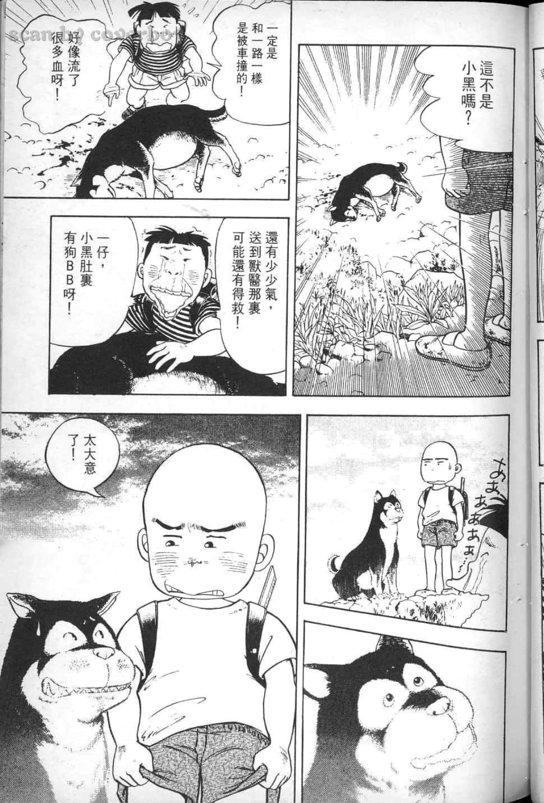 Page 51