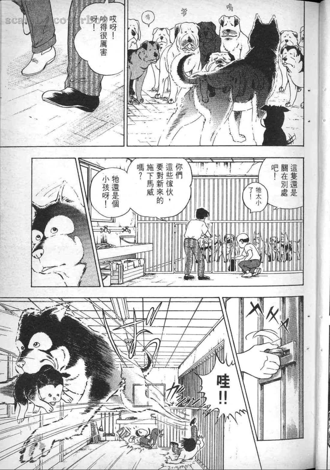 Page 117