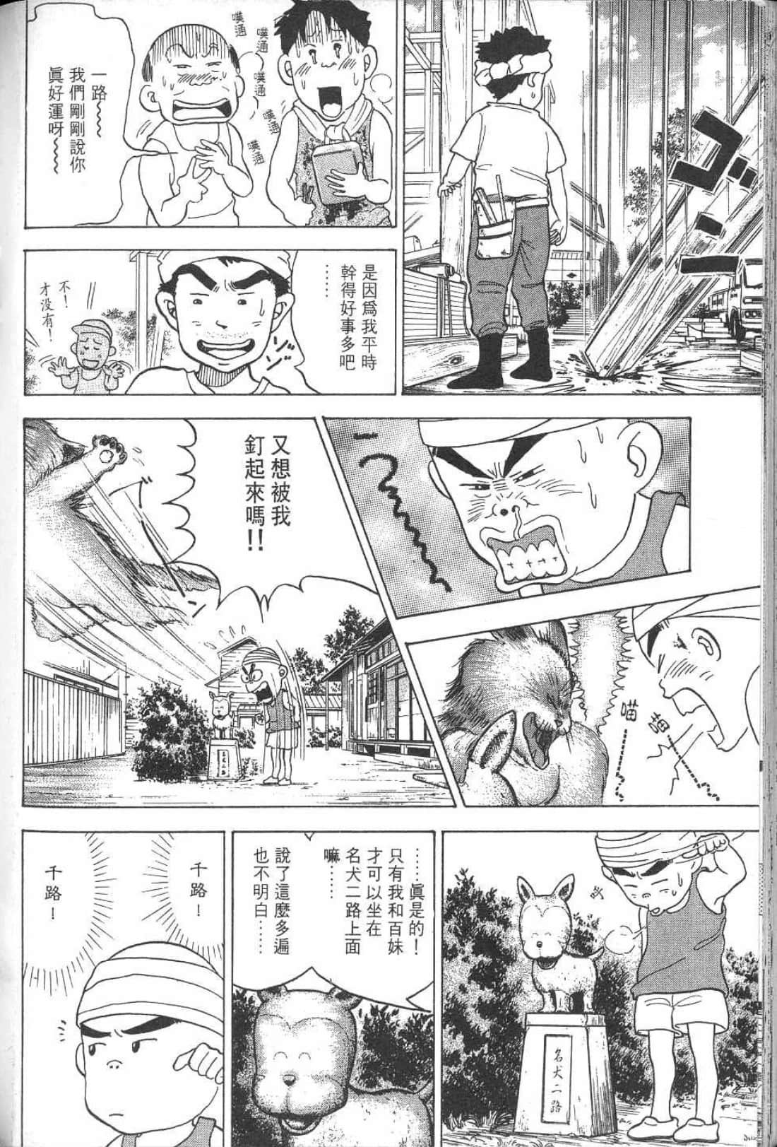 Page 255