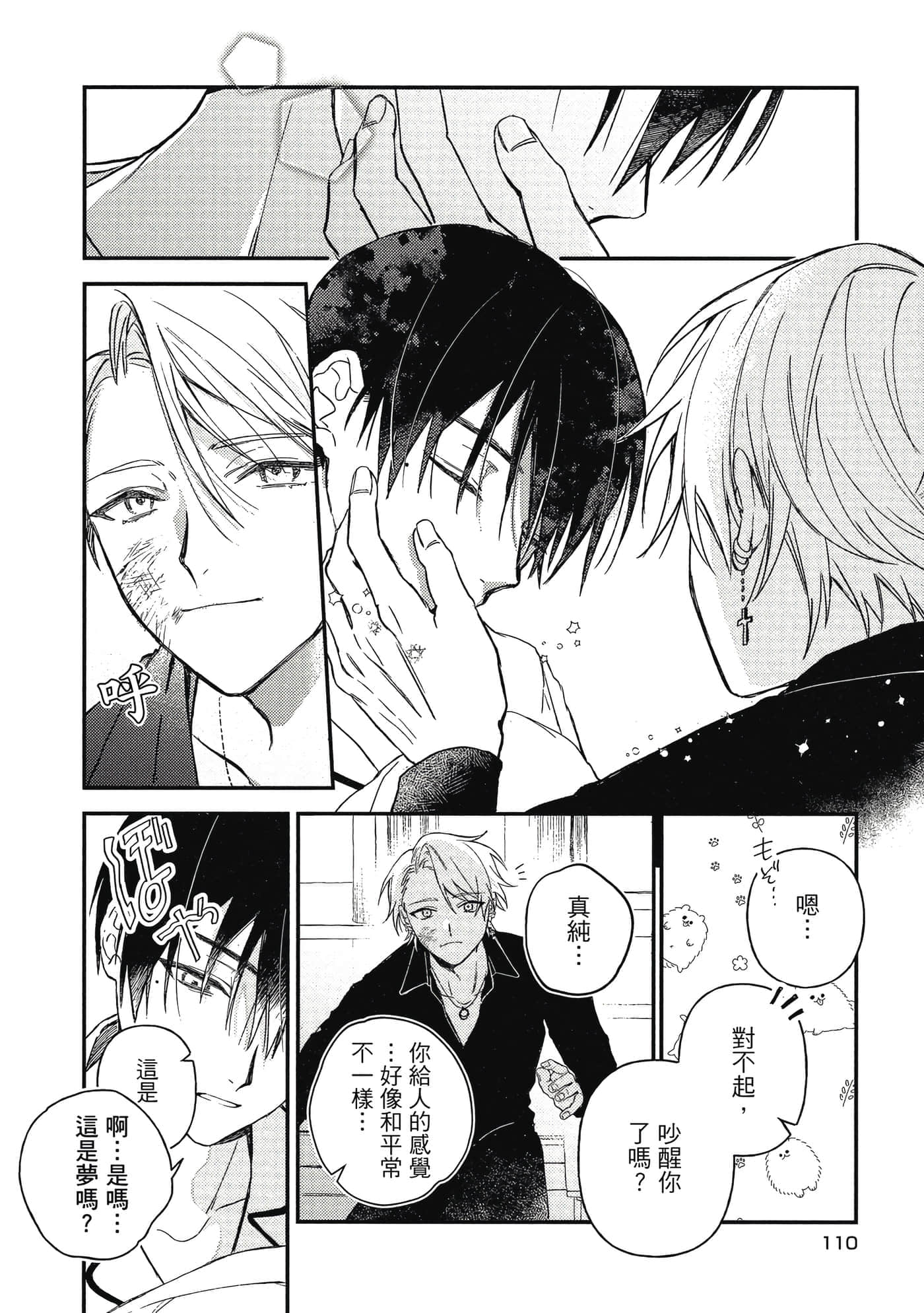 Page 111