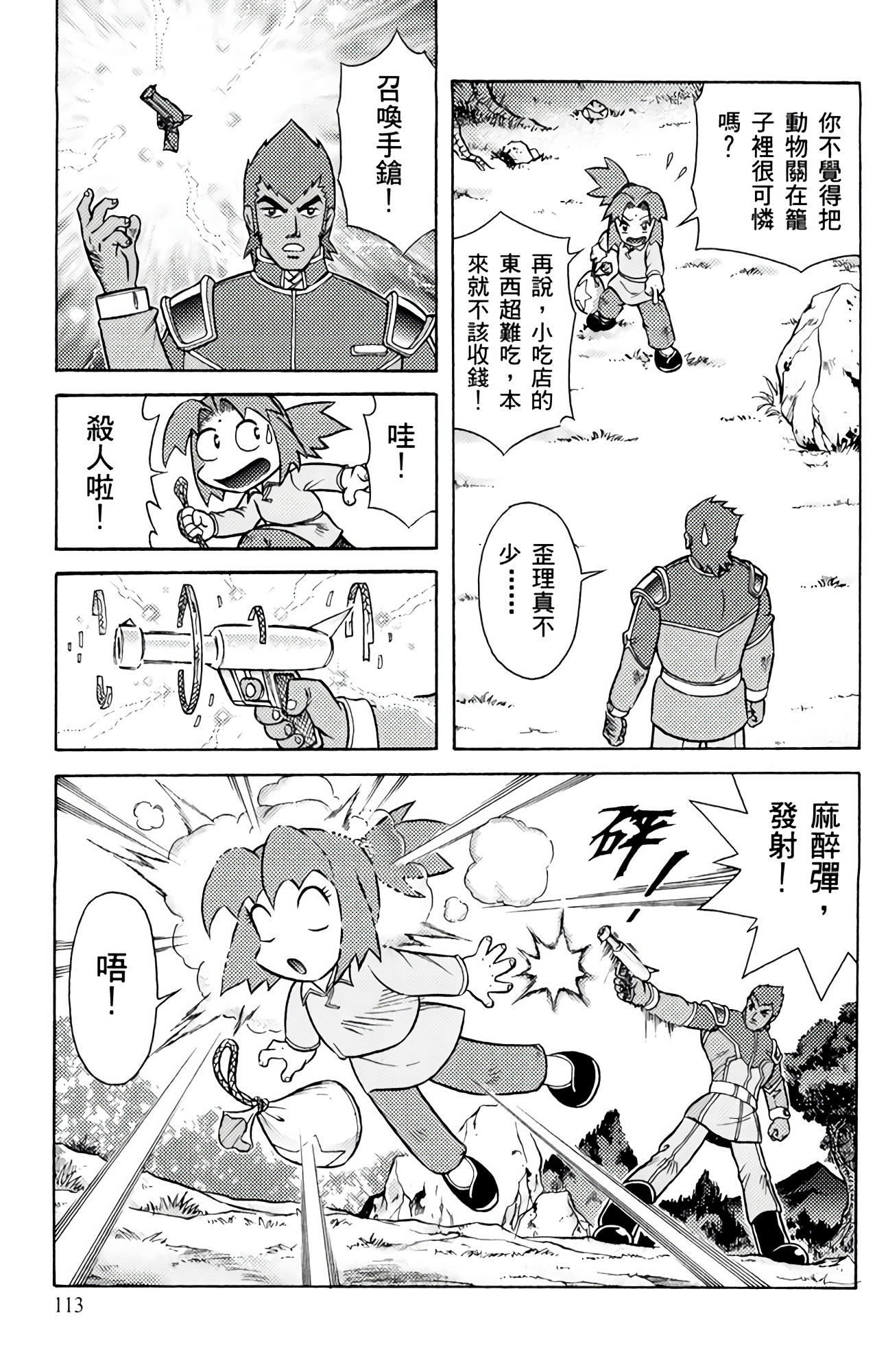 Page 113