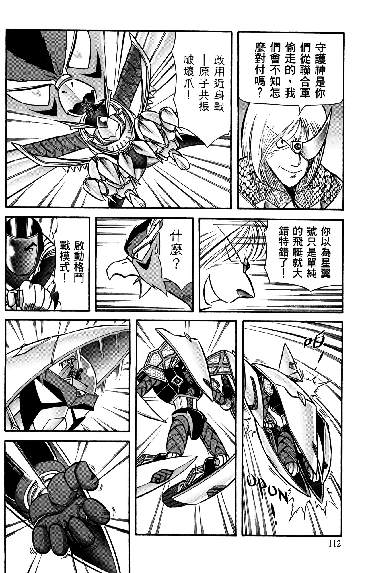 Page 113