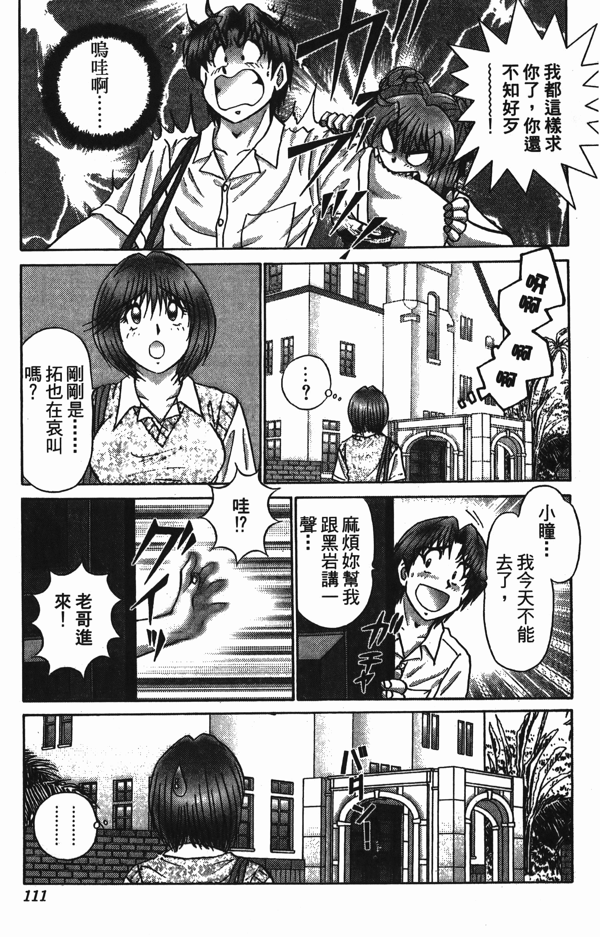 Page 111