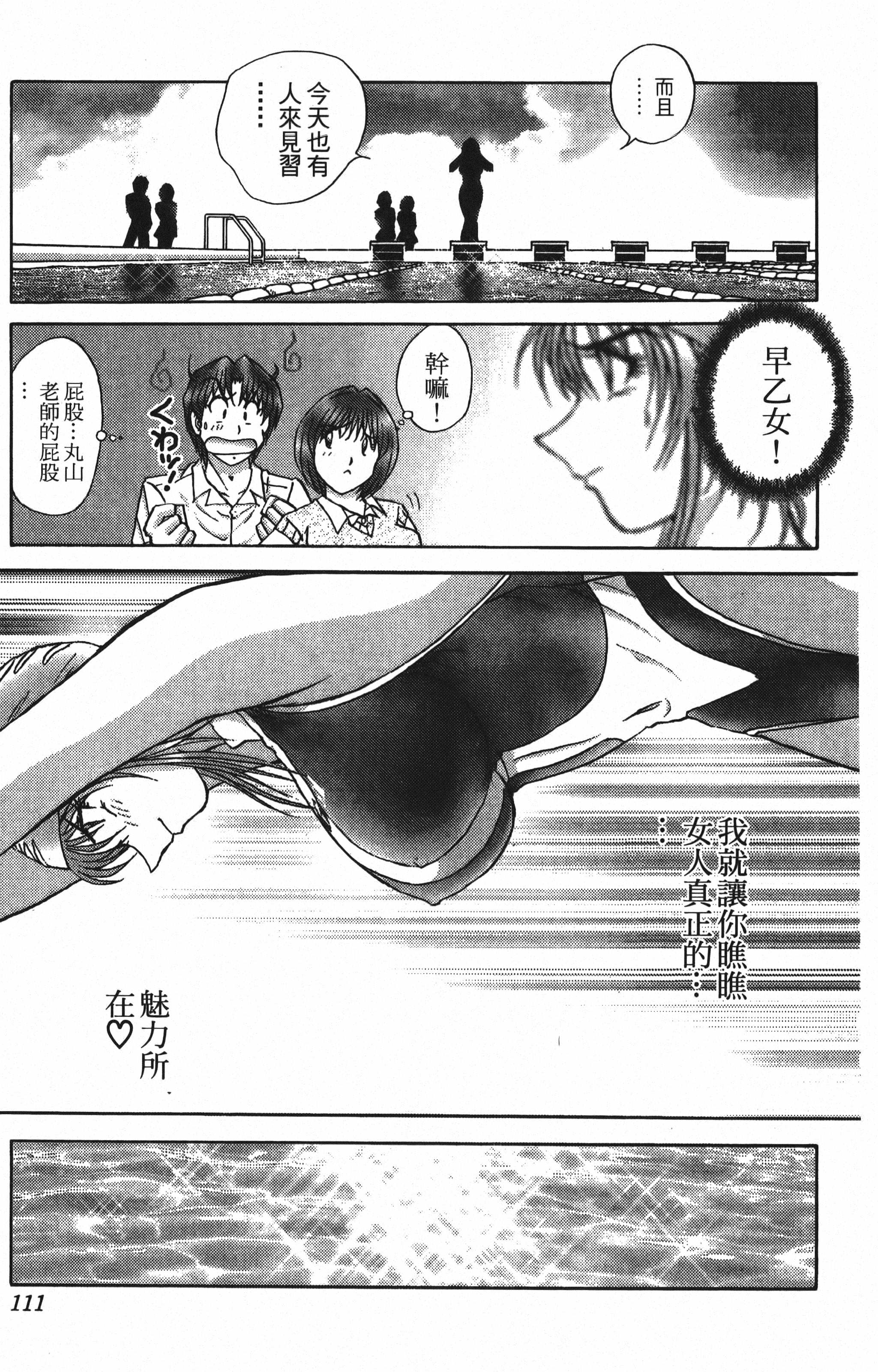 Page 111