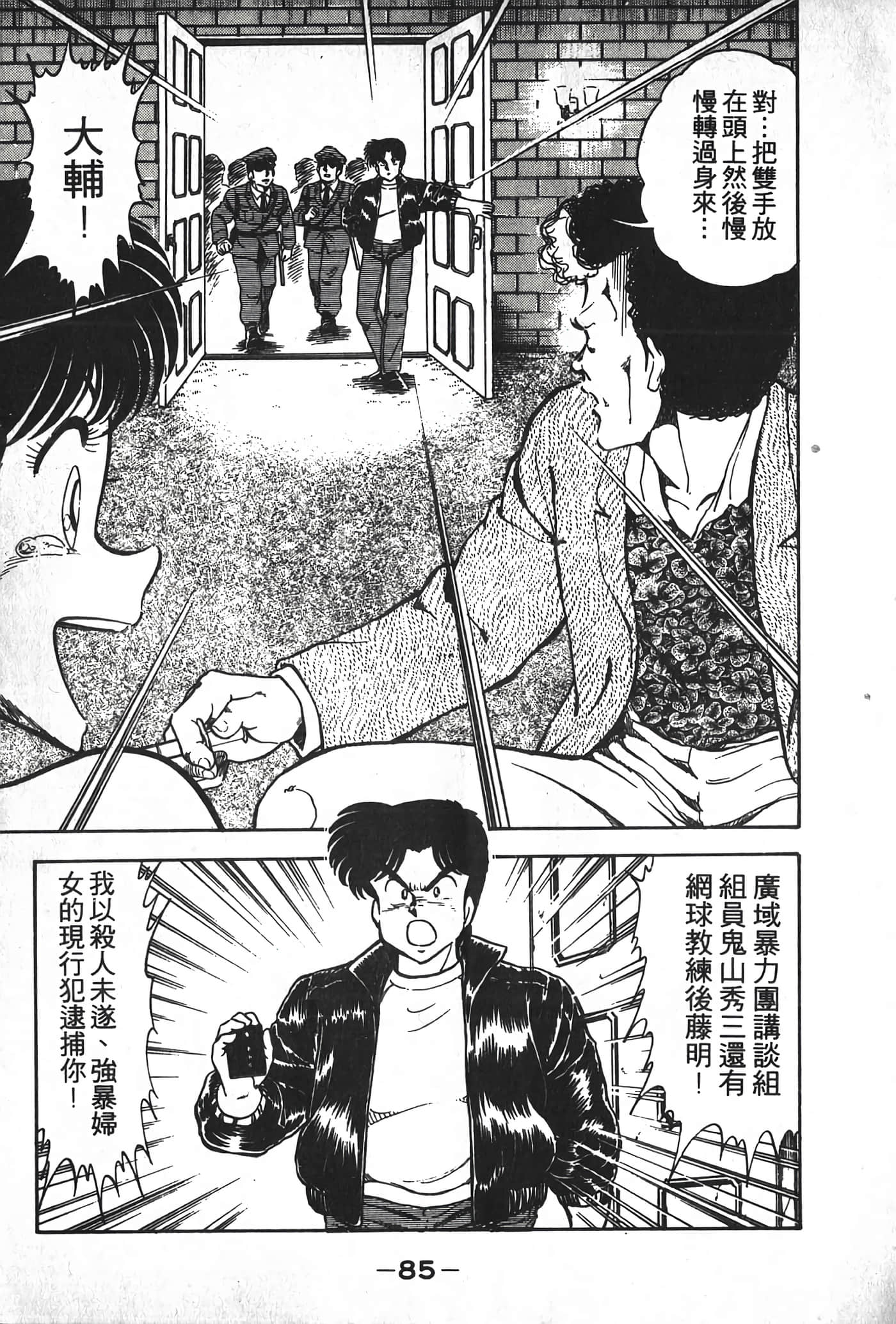 第 87 页