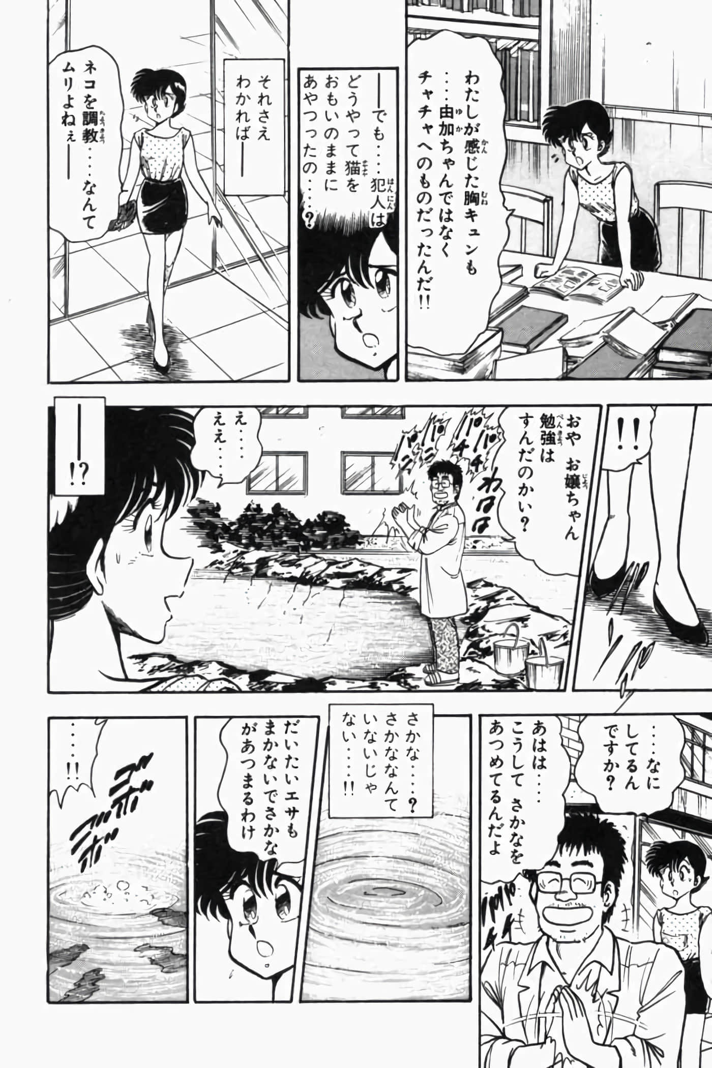 第 95 页