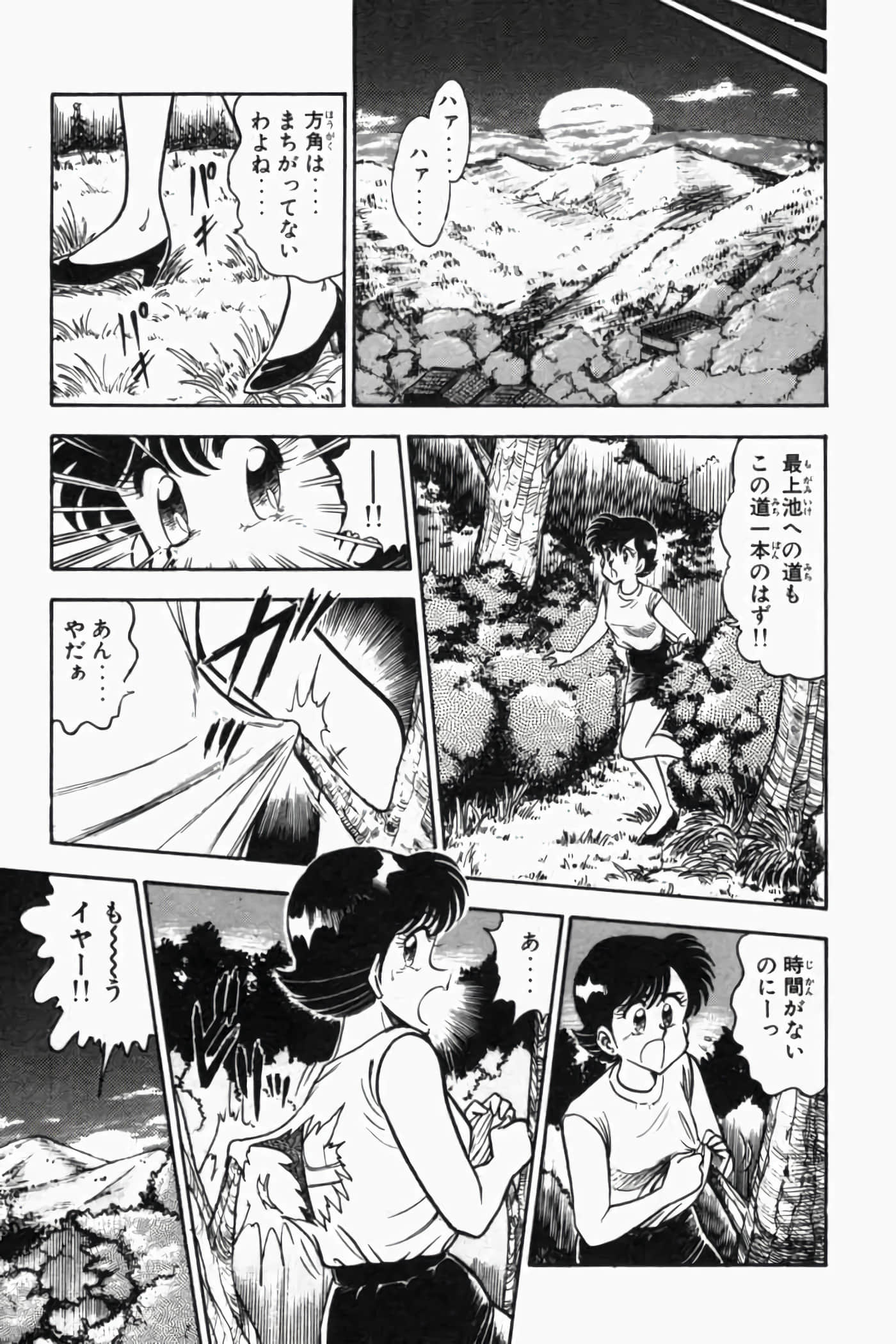 第 196 页
