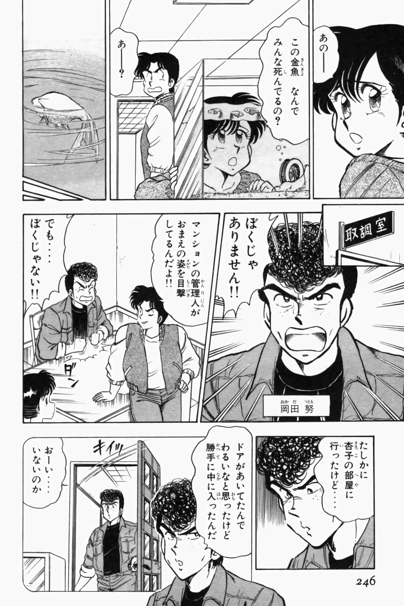 第 251 页