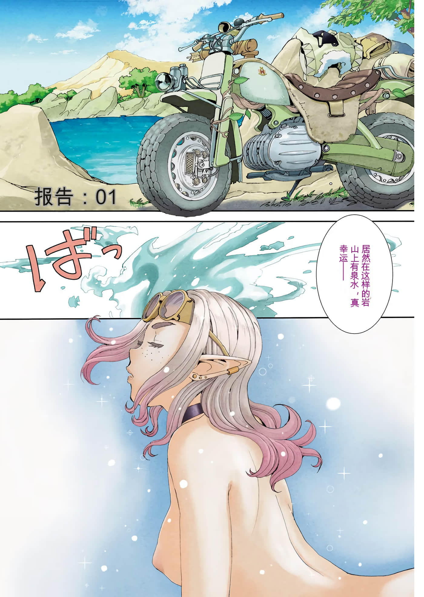 Page 3