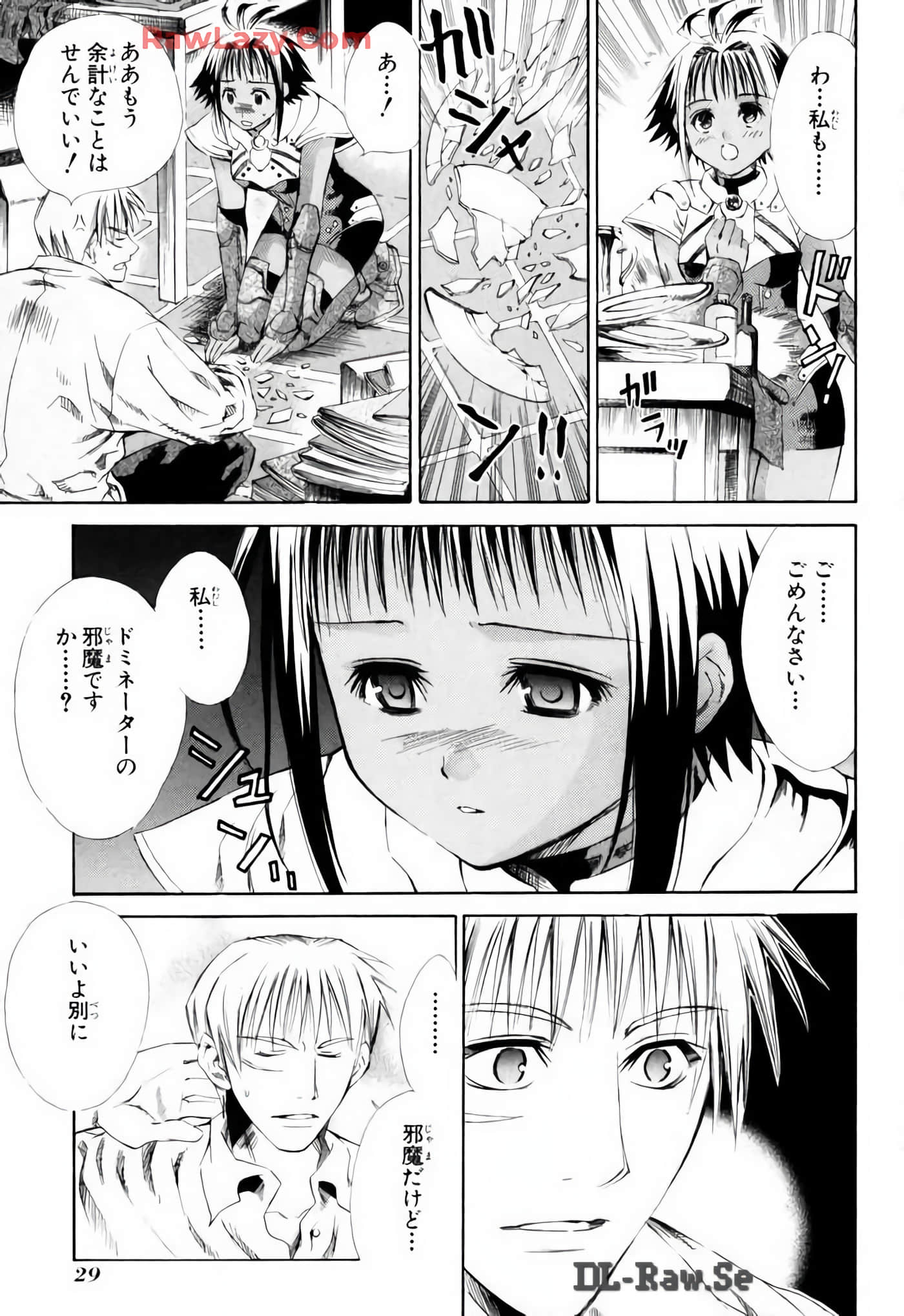 Page 29