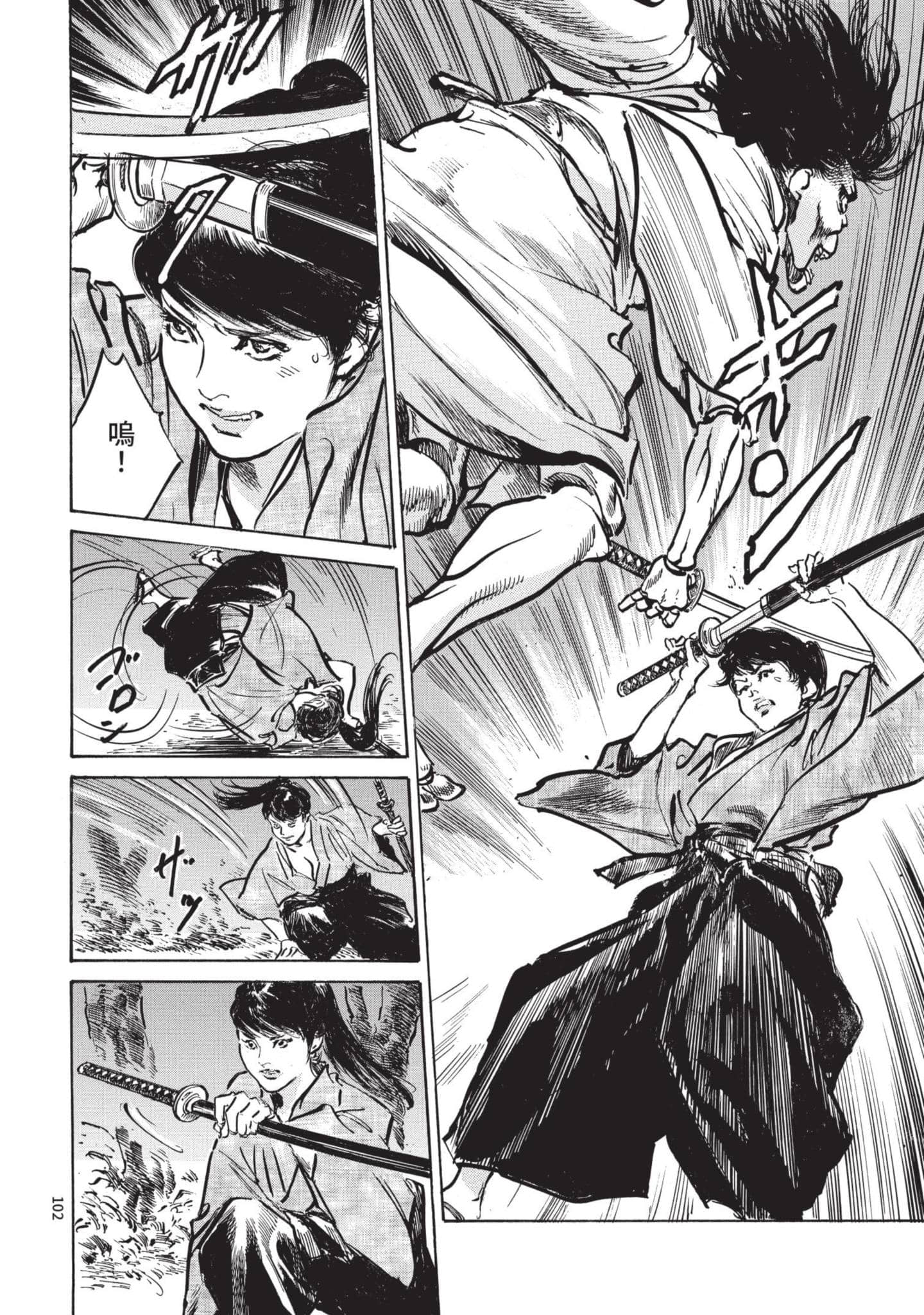 Page 101