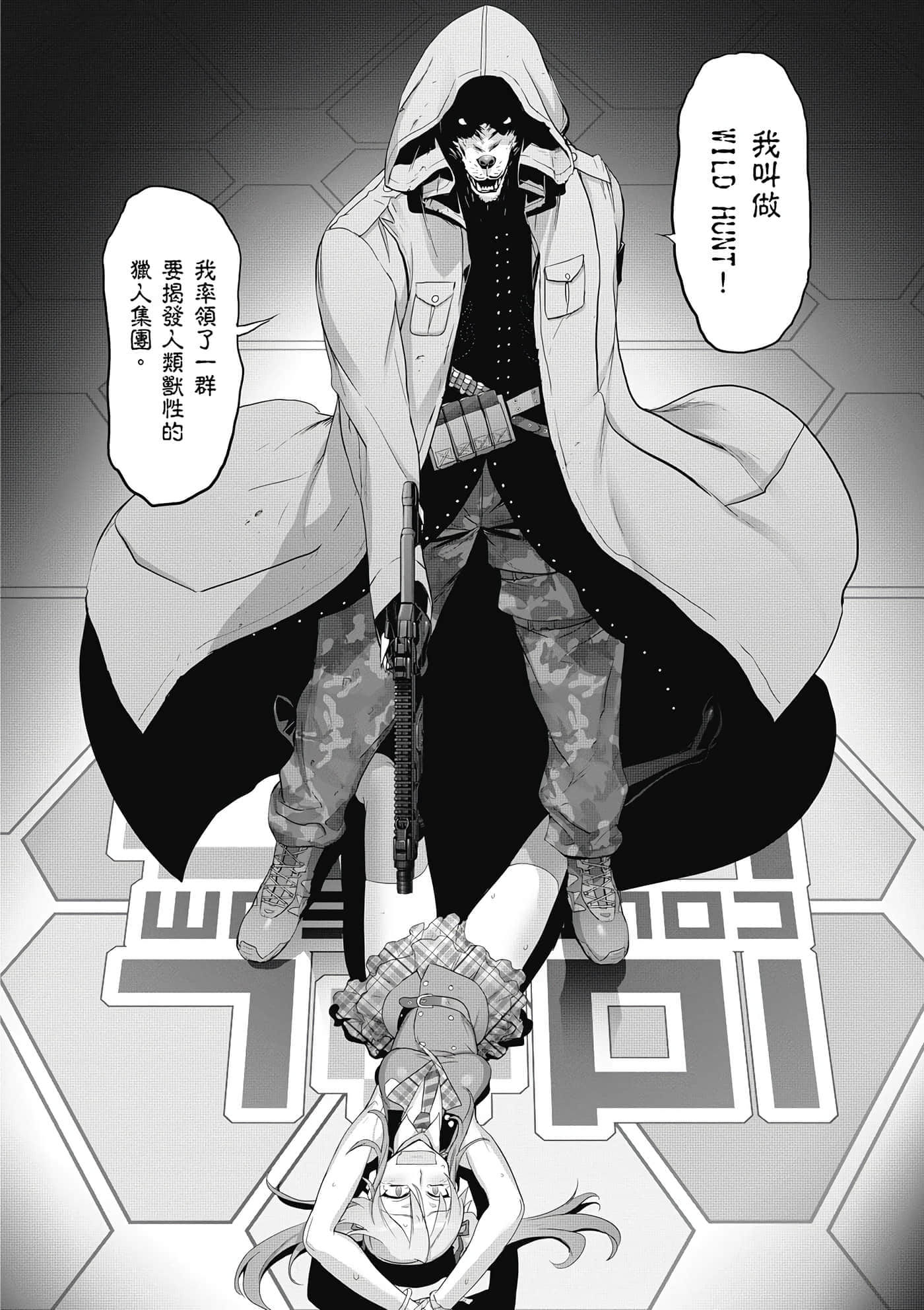第 65 页