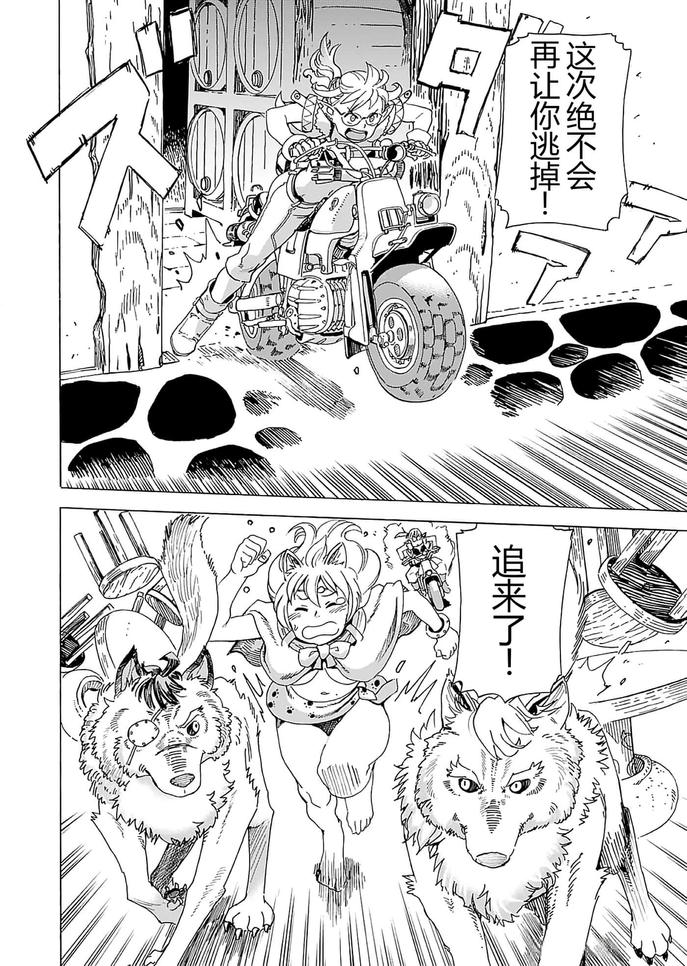 第 48 页