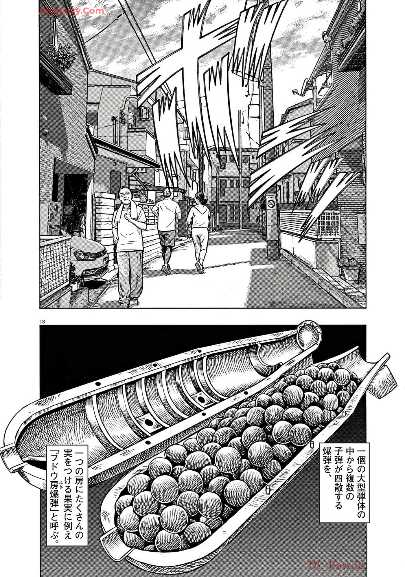Page 223