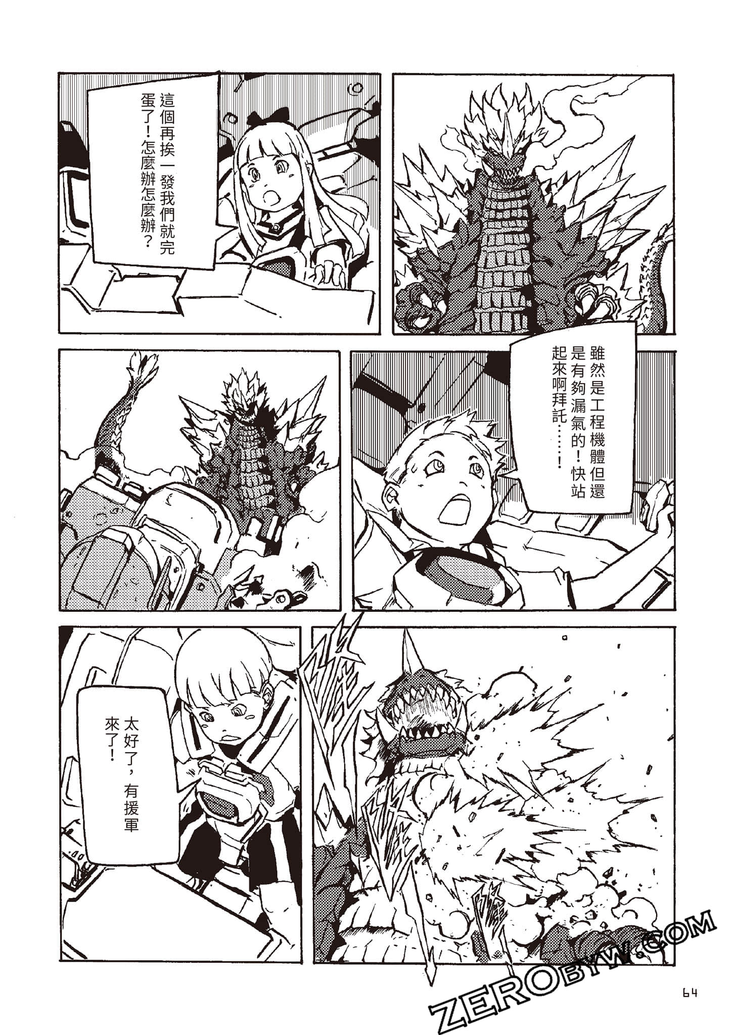 Page 65