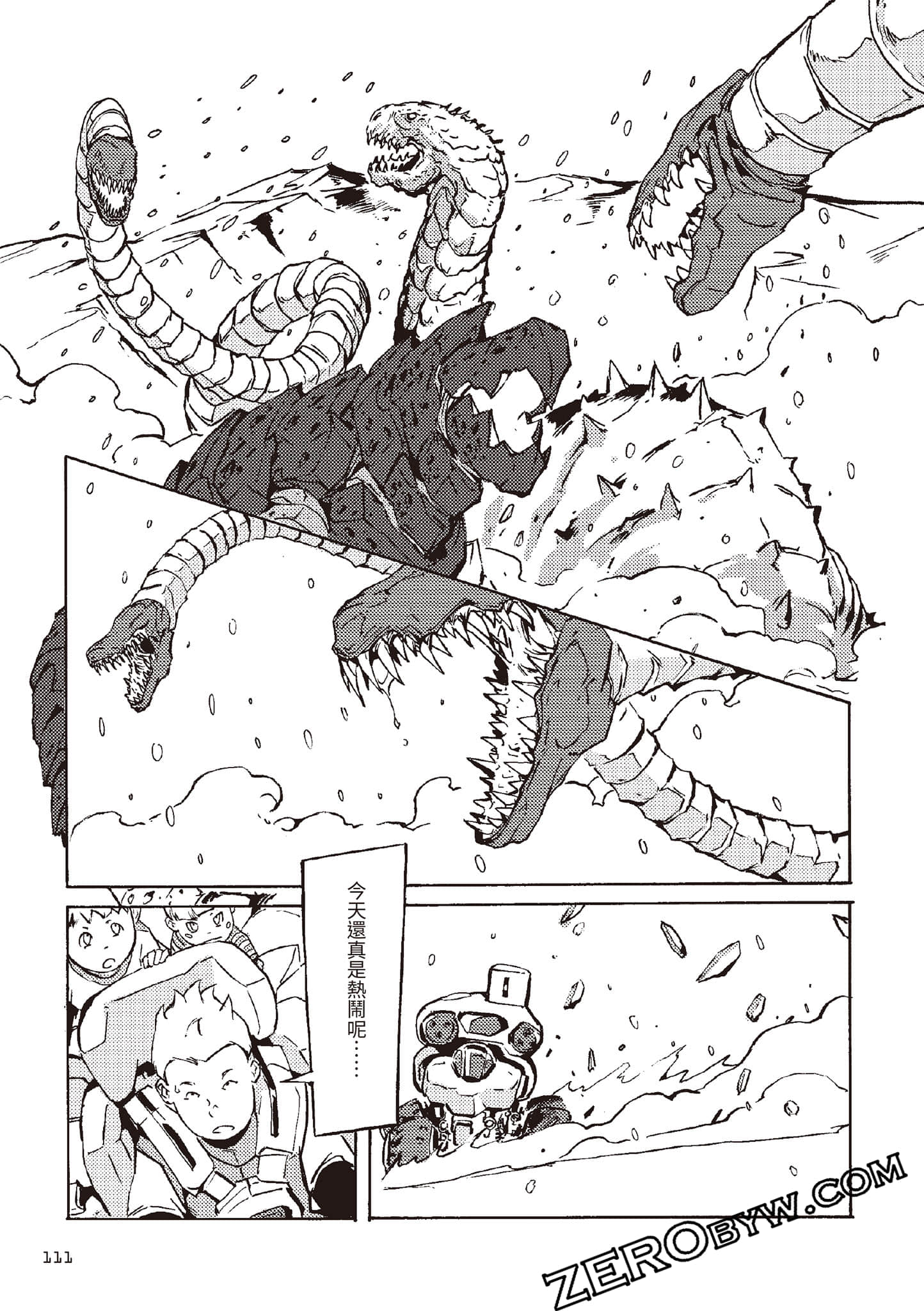 Page 112