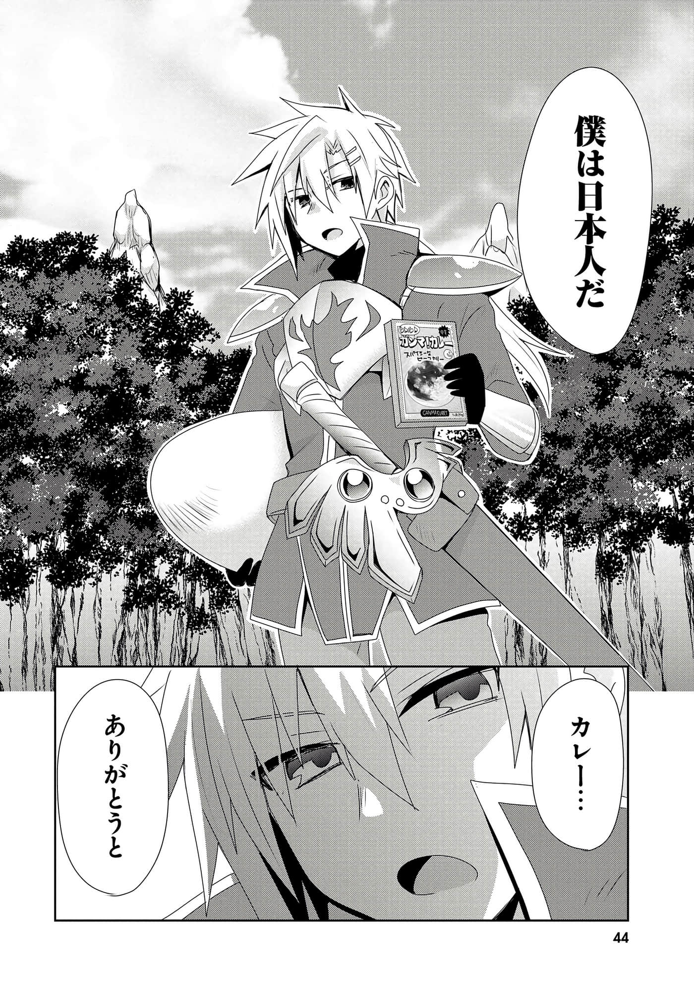 第 46 页