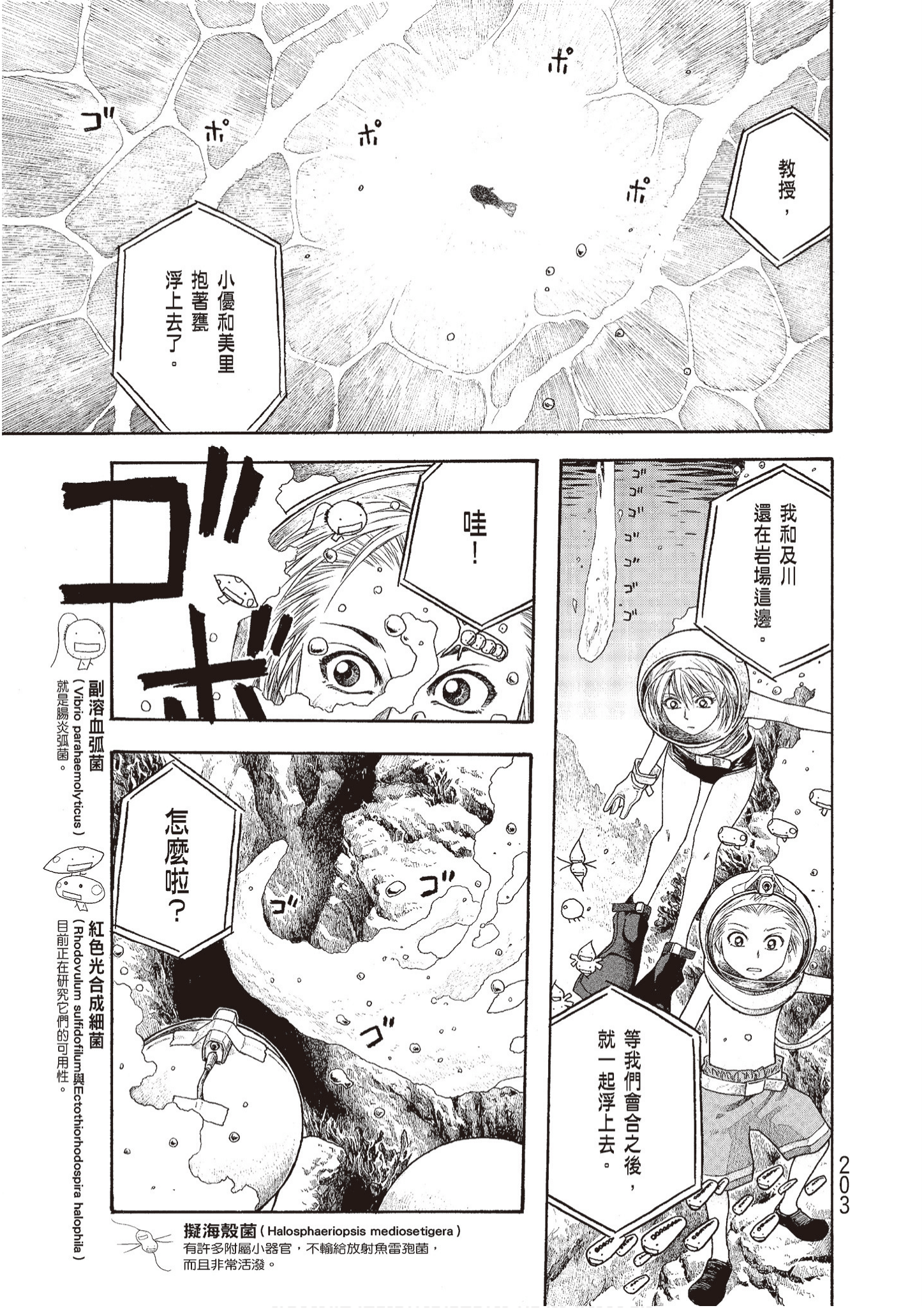 Page 205